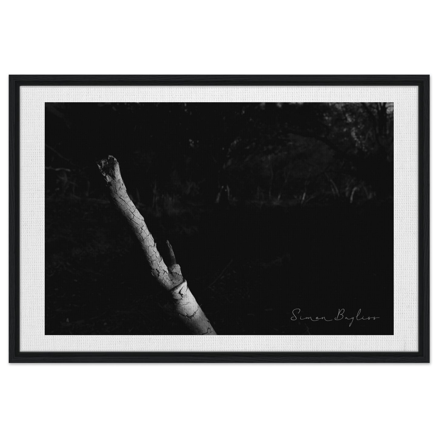 00c09aa4-b123-4c09-87a7-3d9a61eded4f