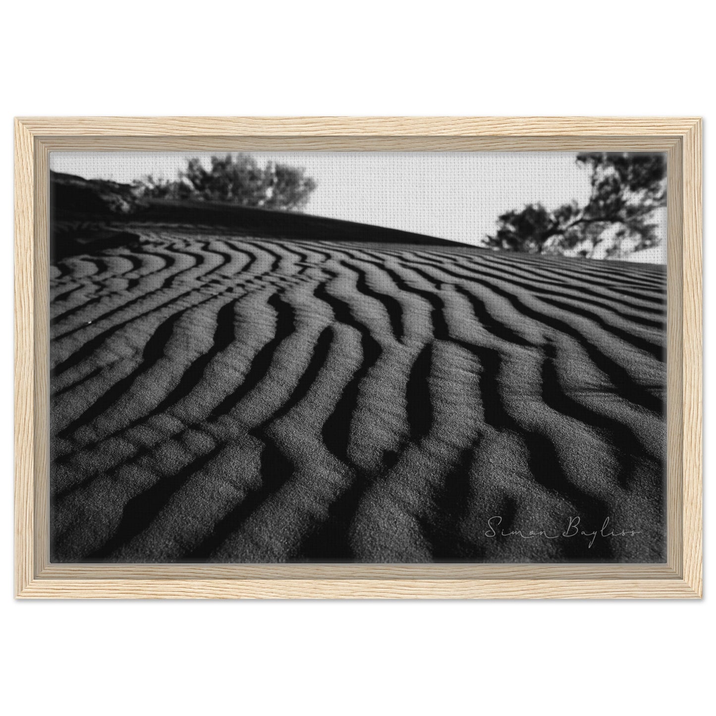 00dce8e5-da75-4a0d-b98c-fbd188800bdf