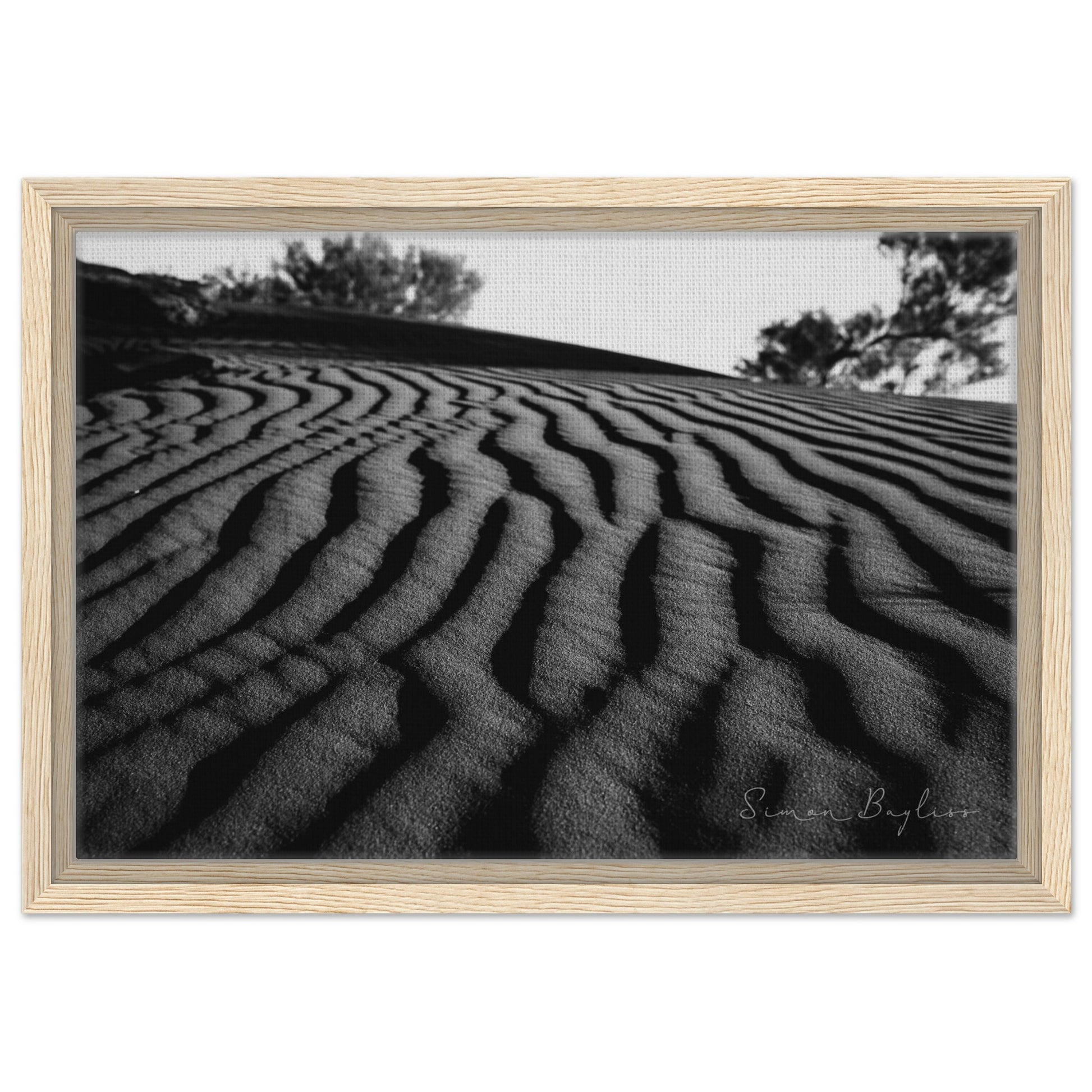 00dce8e5-da75-4a0d-b98c-fbd188800bdf