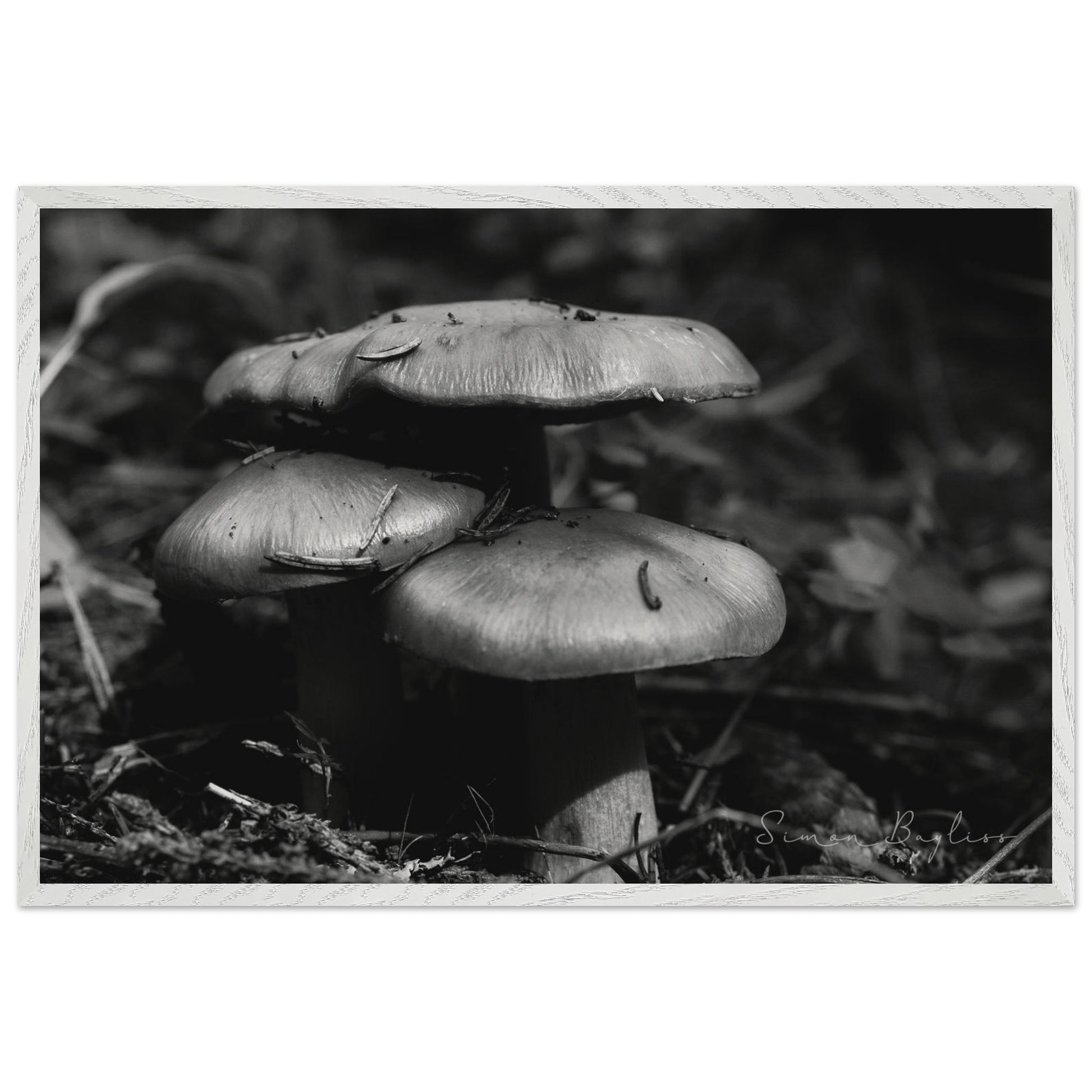 01adf73a-f200-4d64-92bf-2f3d582c82e2