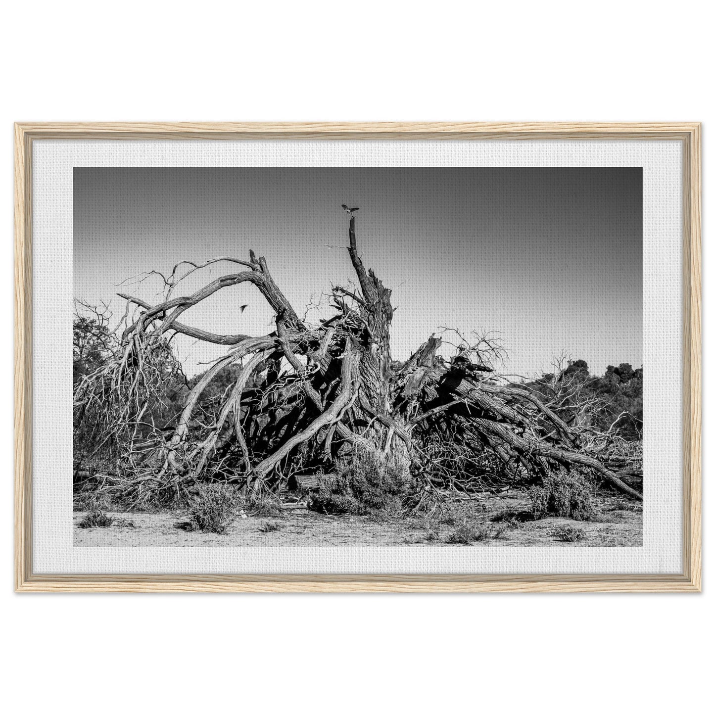 01b39efa-208c-4cb4-8147-7453630fb385