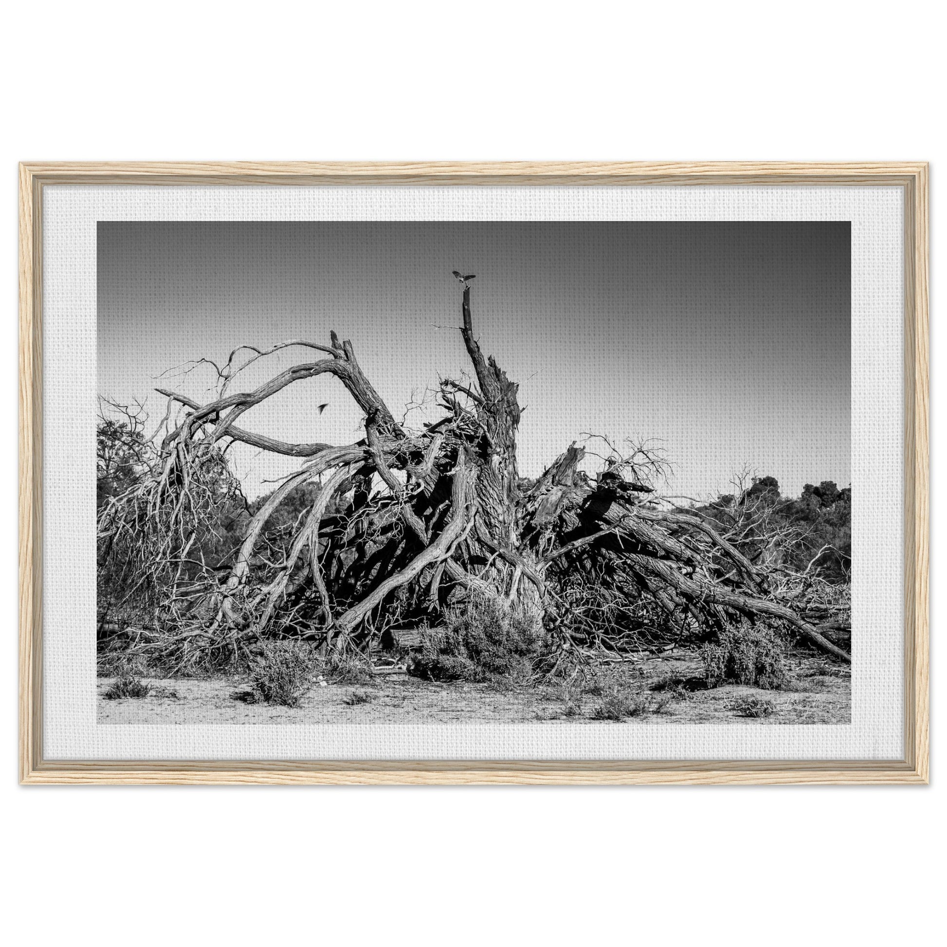 01b39efa-208c-4cb4-8147-7453630fb385