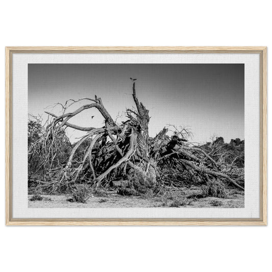 01b39efa-208c-4cb4-8147-7453630fb385