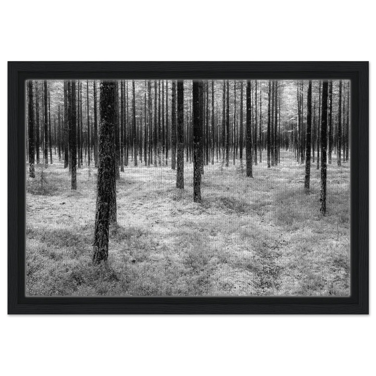 0205a263-40c5-4096-9da3-70f5c70a6a7d