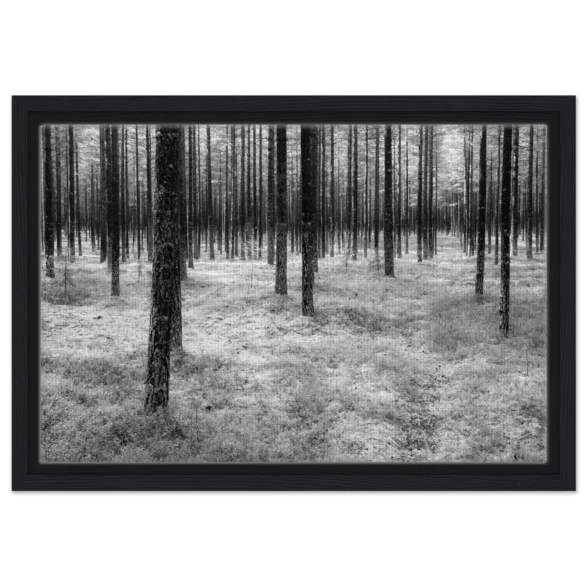 0205a263-40c5-4096-9da3-70f5c70a6a7d