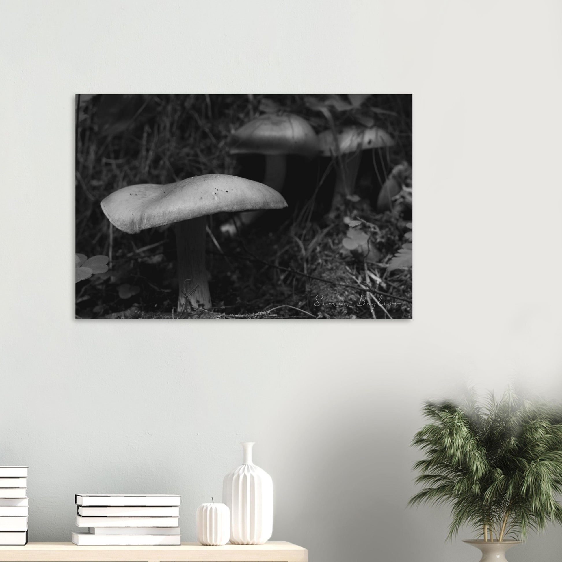 02b4a86f-3ce3-4583-abe6-77a953d0a11c