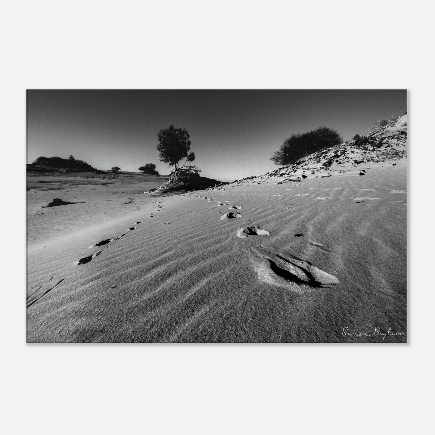 036d8880-f81b-44c4-9355-ea379f5842d5