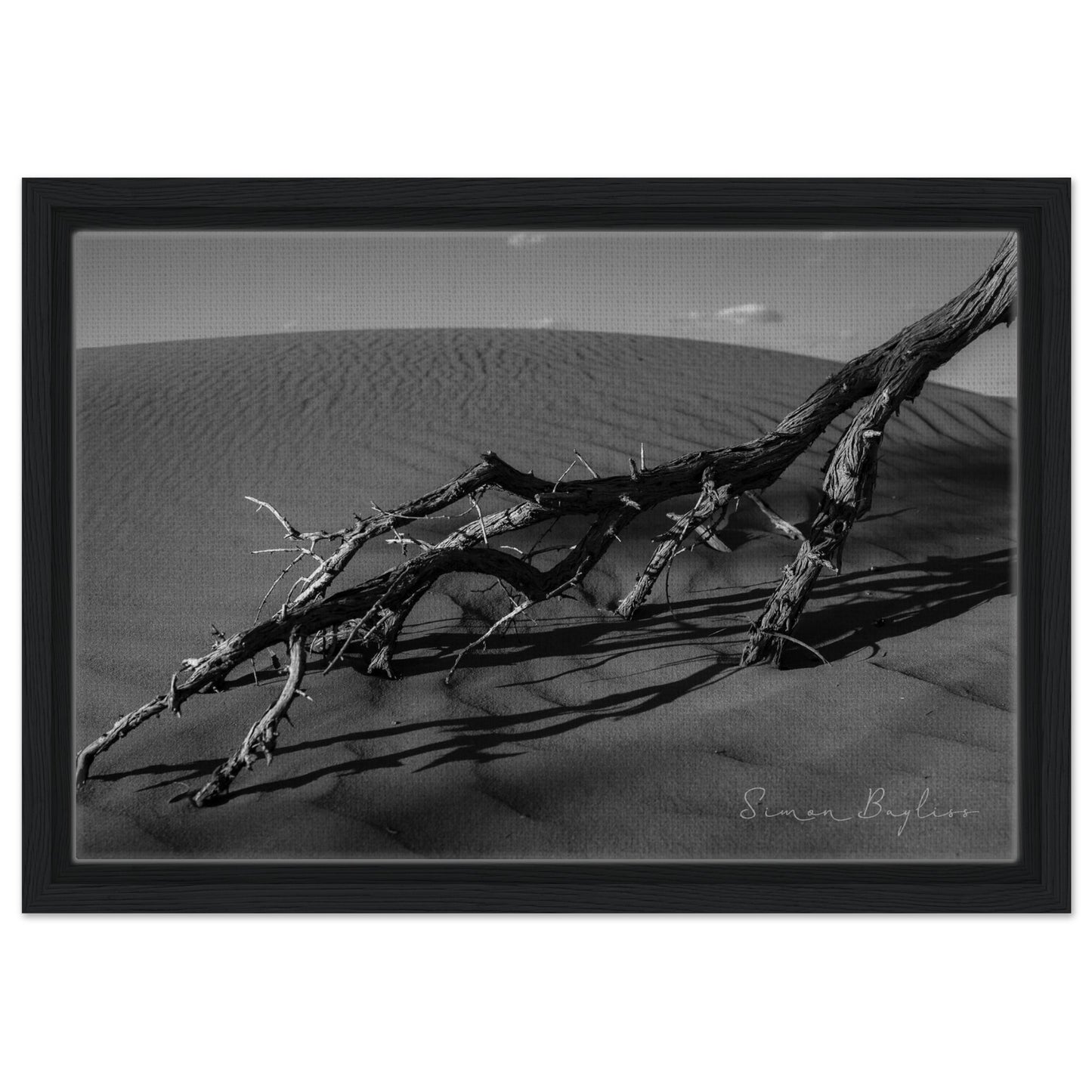 03b2bb4d-8ef7-4ab4-b4d7-23cd65bbb3d5