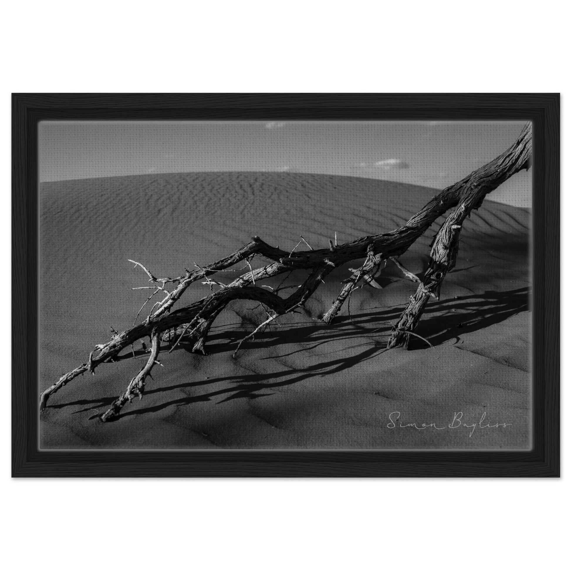 03b2bb4d-8ef7-4ab4-b4d7-23cd65bbb3d5