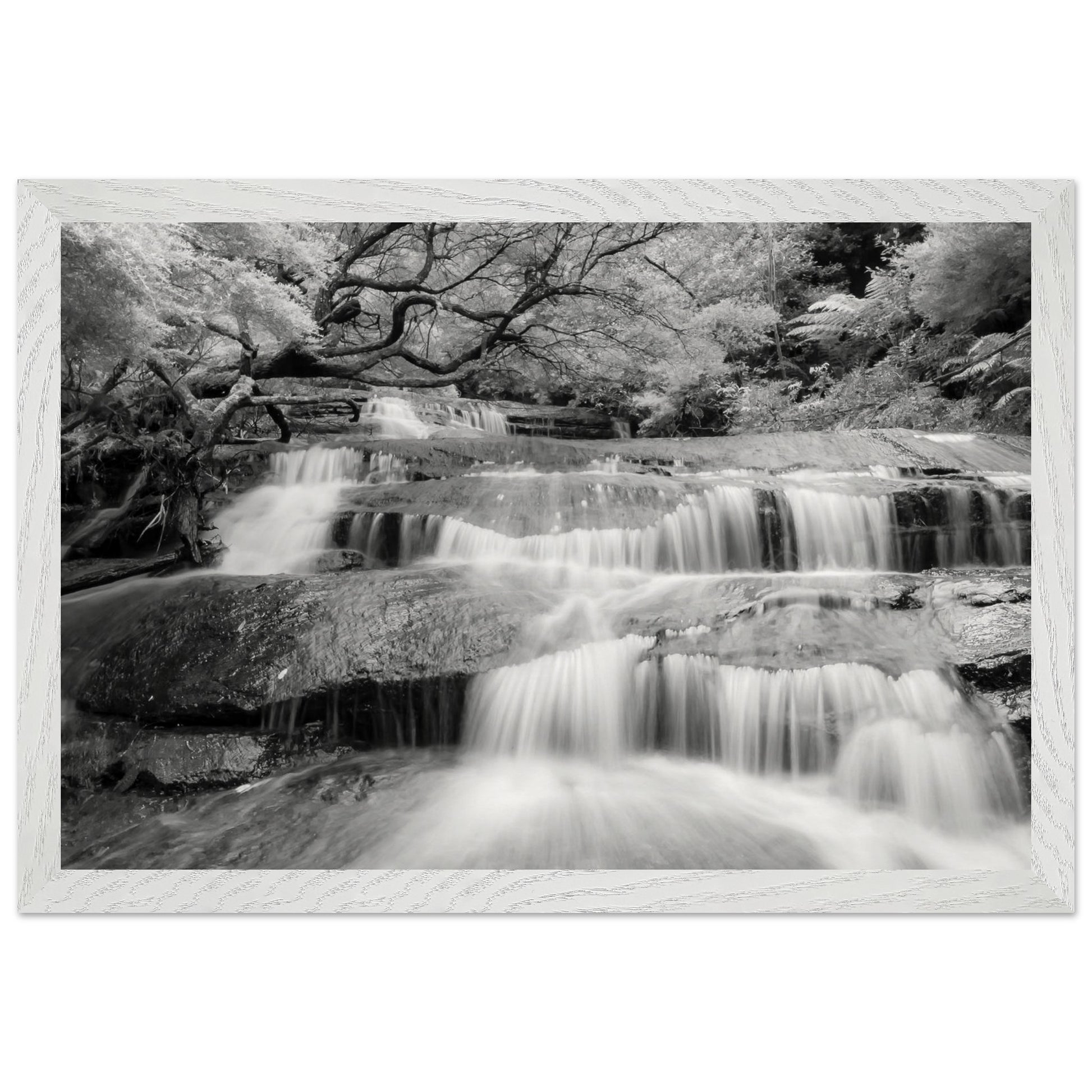 03cb1c5f-4ac5-4ed3-bbda-252a86be8e7e