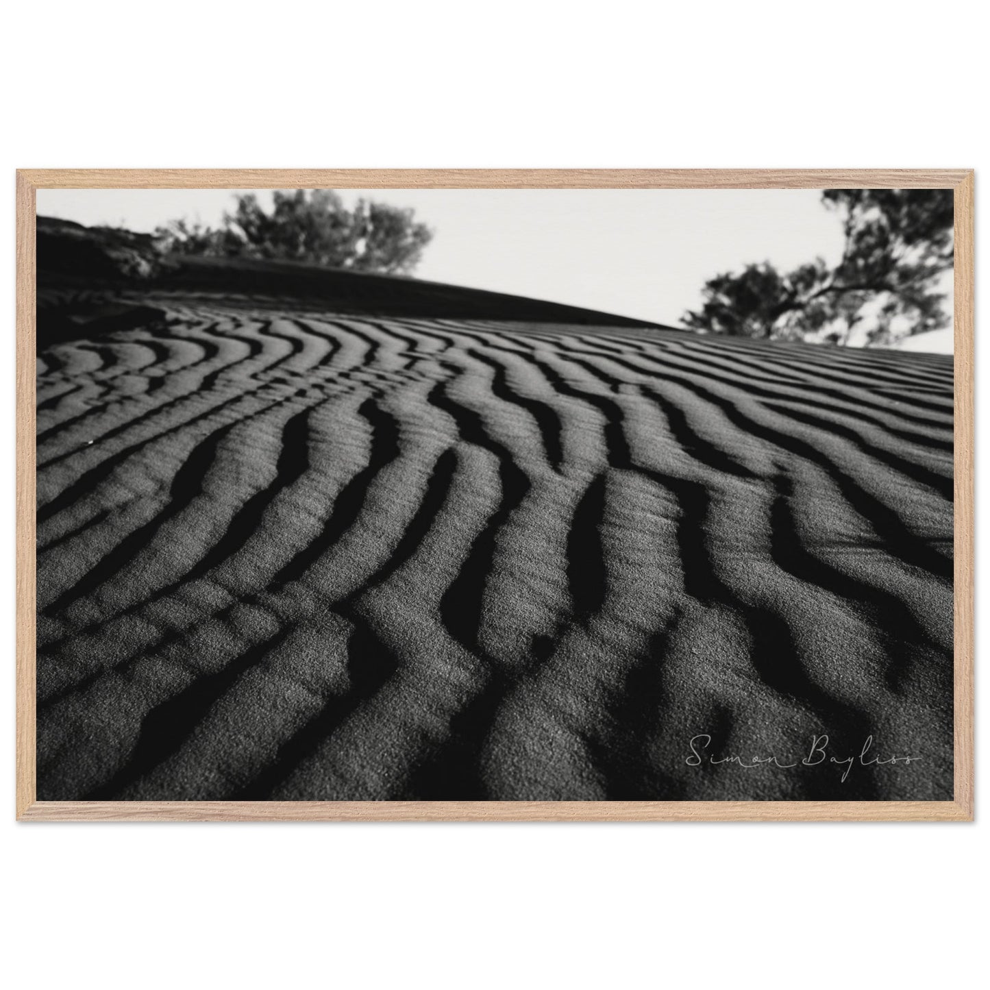 03ce273a-4757-4e4b-9556-e90d8d707912