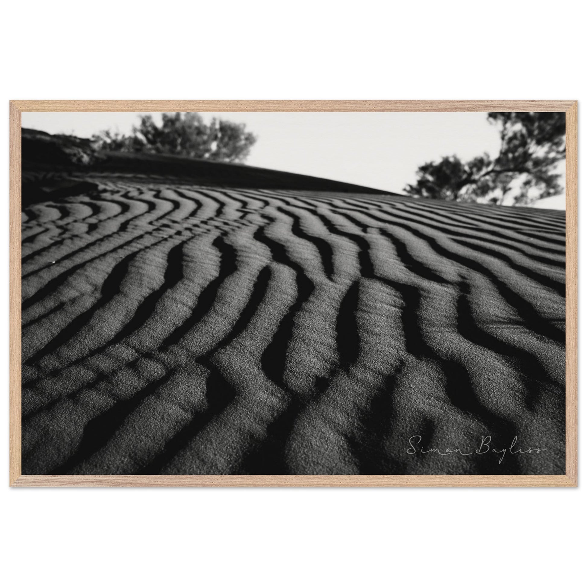 03ce273a-4757-4e4b-9556-e90d8d707912