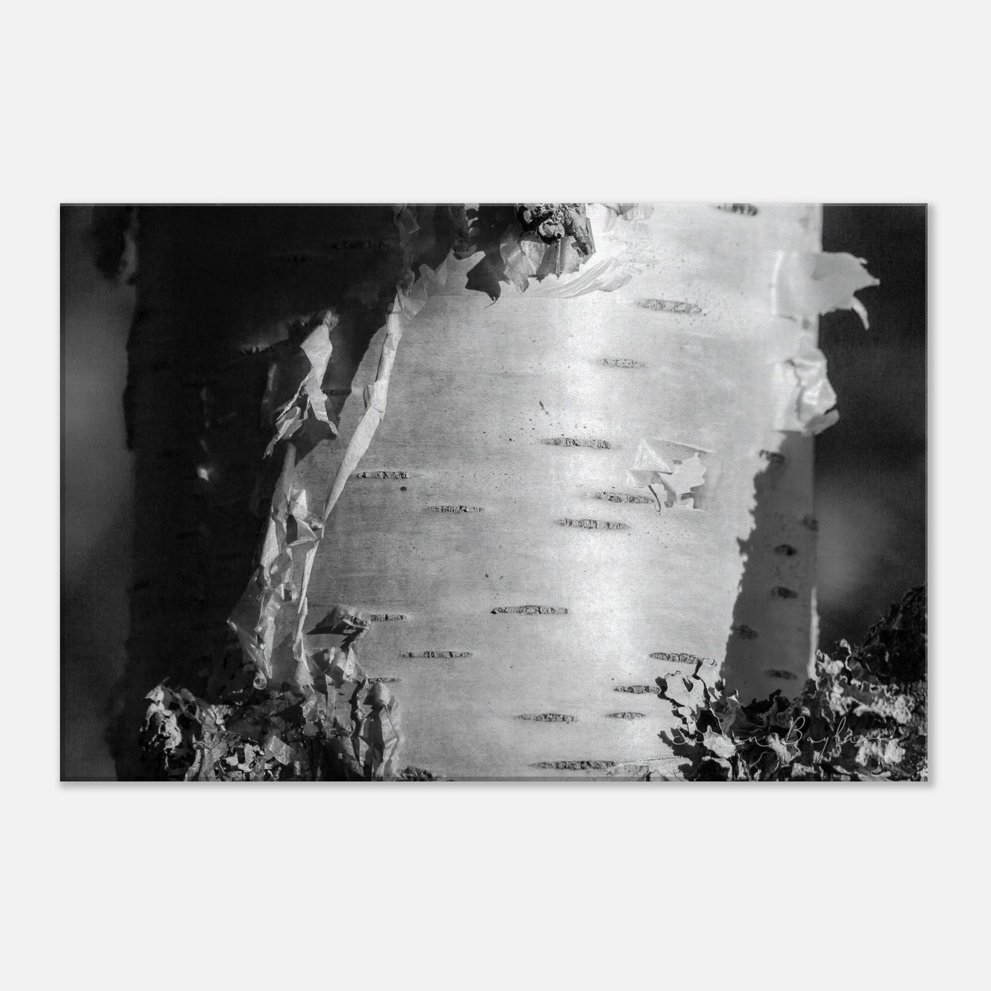 040b2842-42cf-4a3a-8019-70aa3e3d39eb