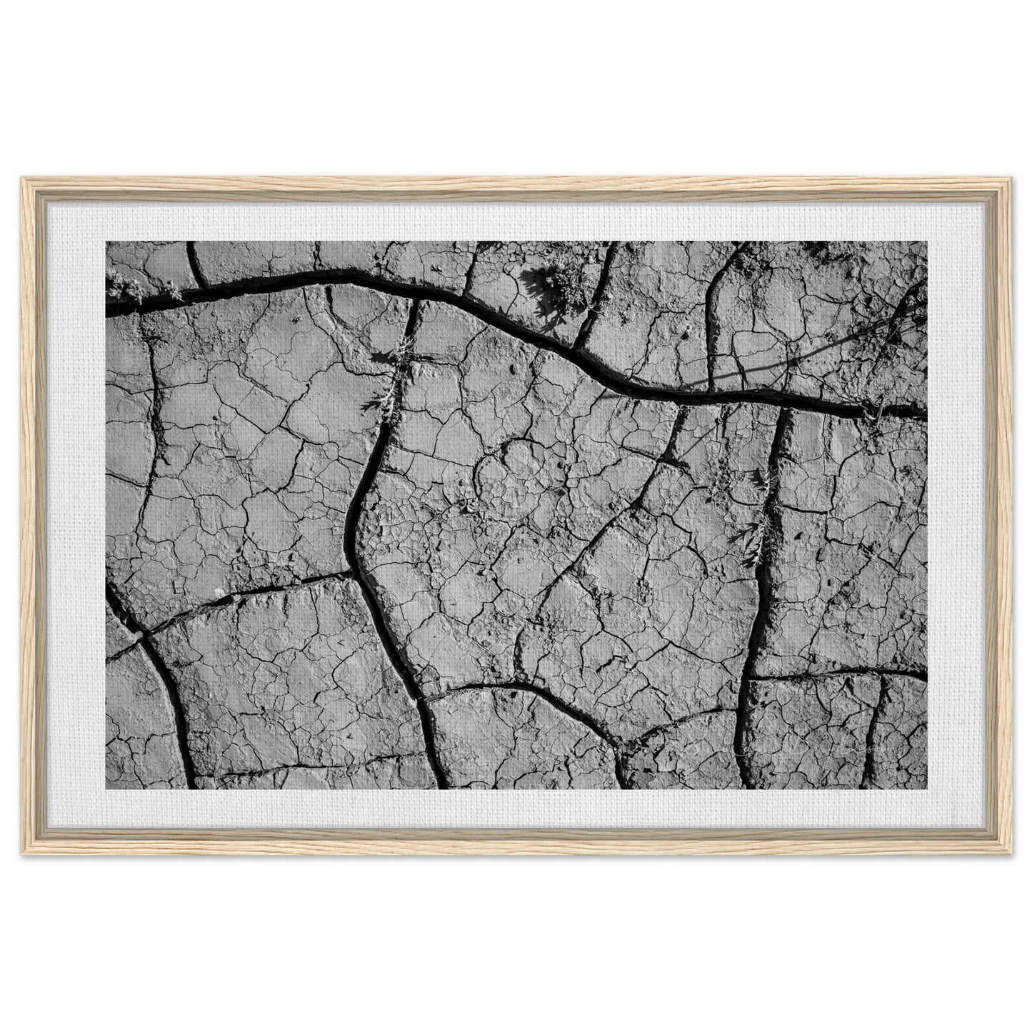 0446c282-d8ef-4e69-b202-2b44103ca41f