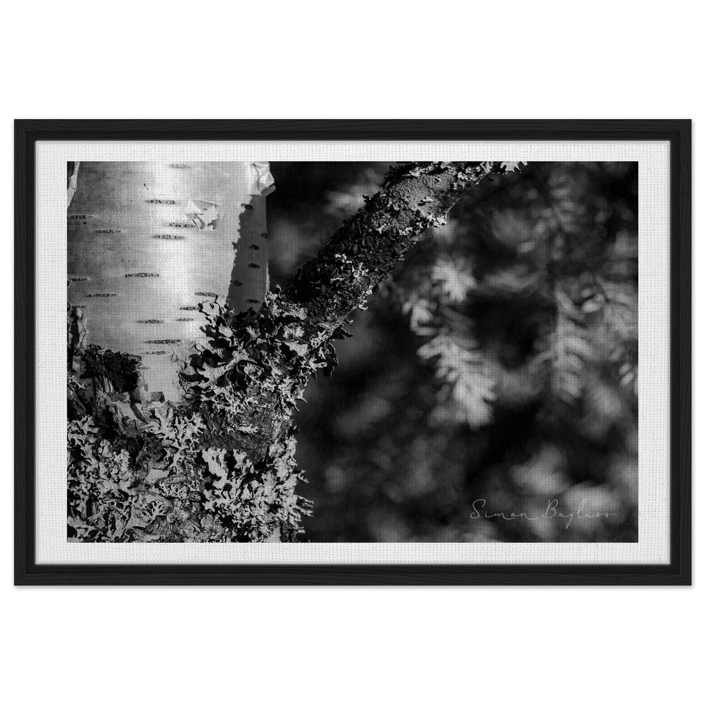 04a92b68-e2c5-4008-abfa-1ad6d589d8ae