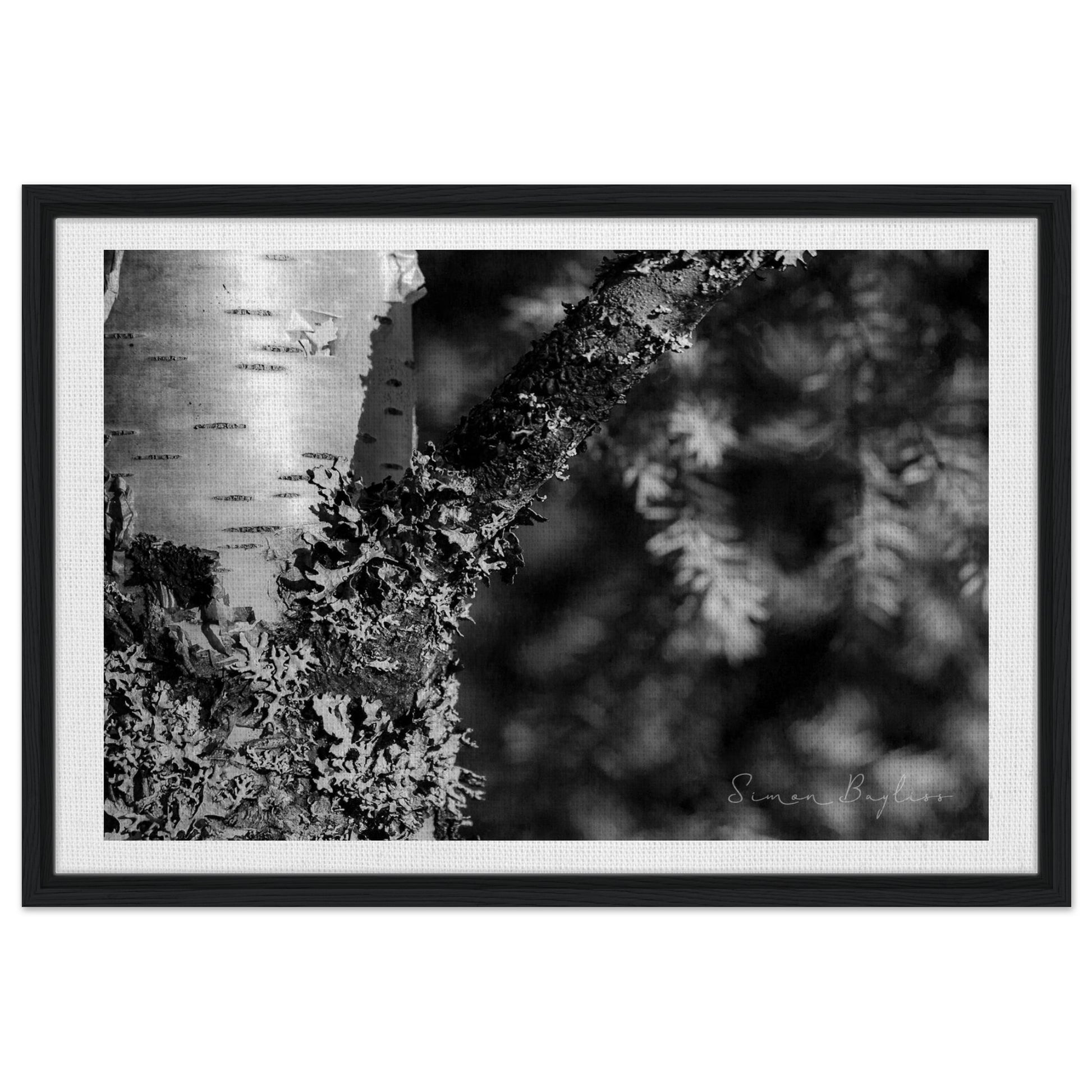 04a92b68-e2c5-4008-abfa-1ad6d589d8ae