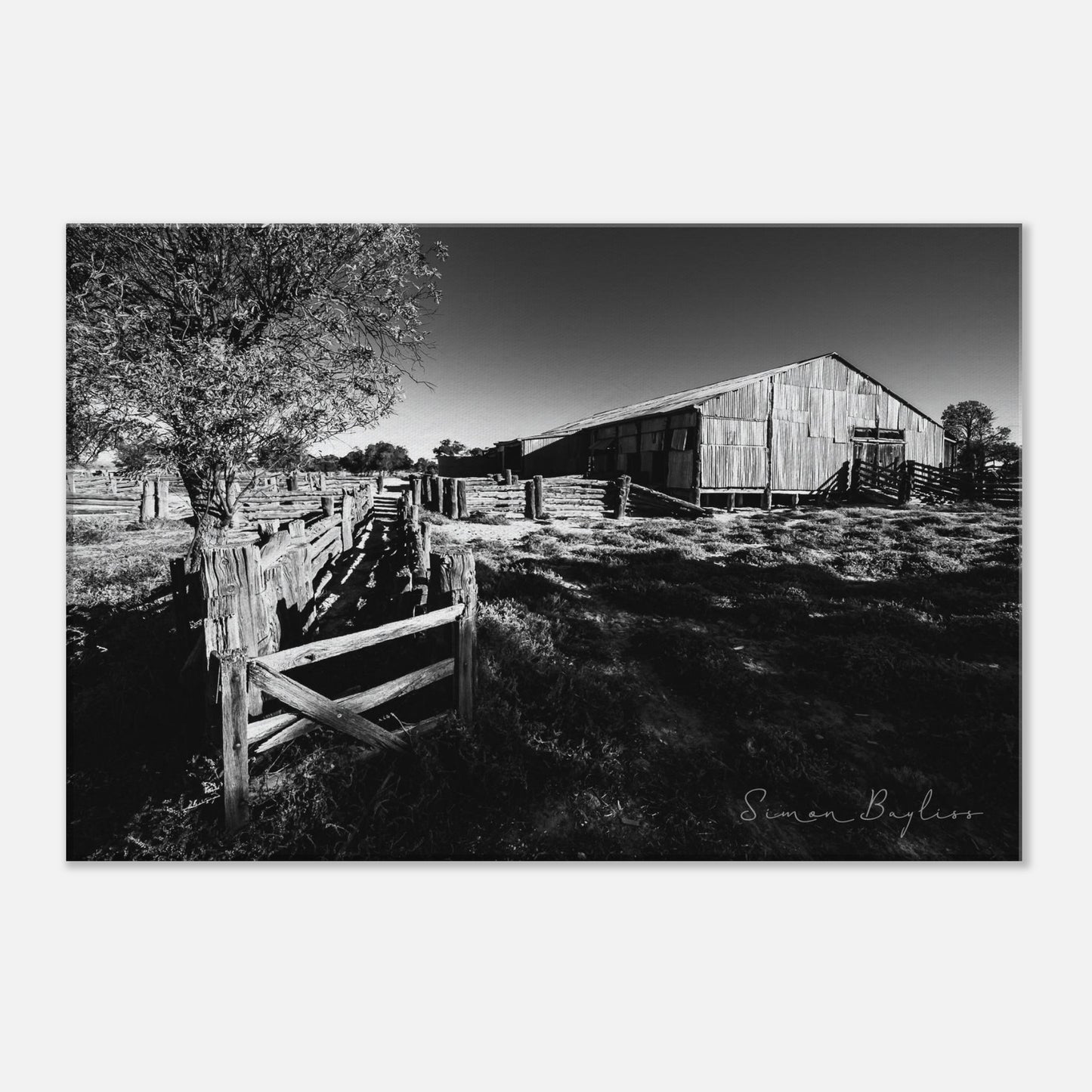 06aa55c5-20d8-4ffa-b781-44906582d696