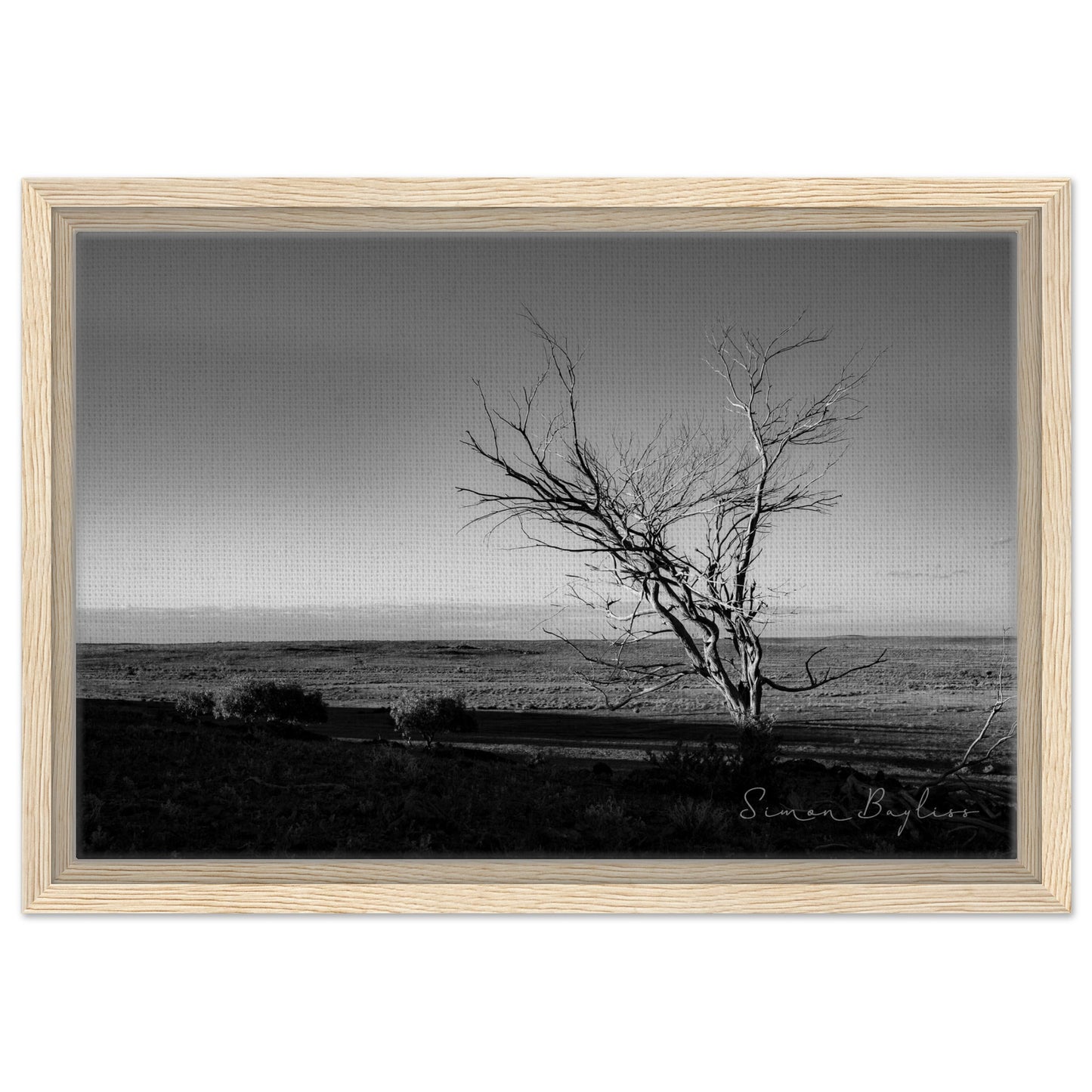 09532d7c-1931-4ffa-9654-fa325d051b11