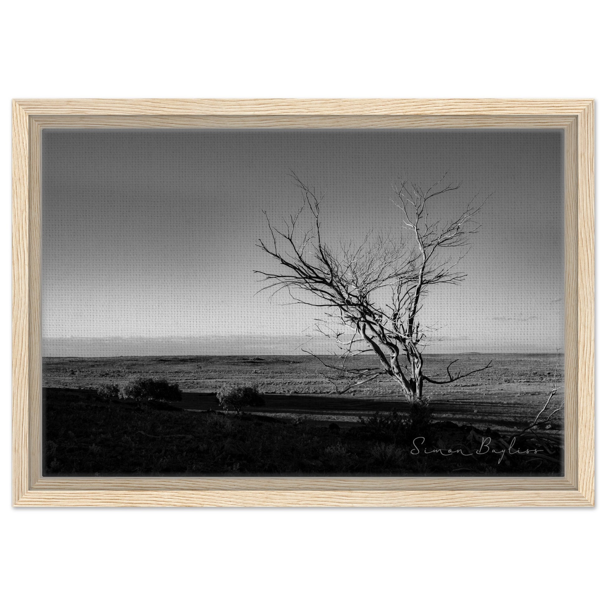 09532d7c-1931-4ffa-9654-fa325d051b11