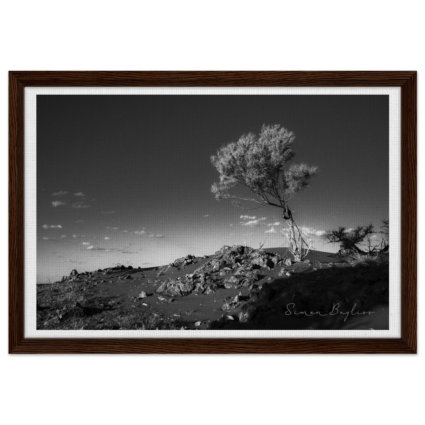 09855bdc-c67c-492d-8496-4b16cc33c7aa