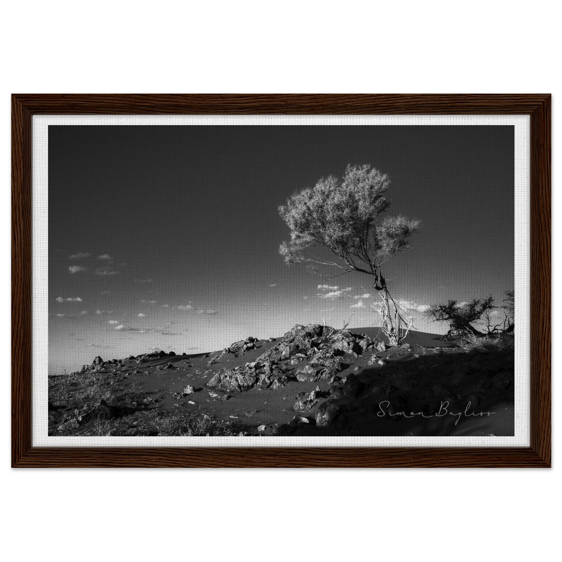 09855bdc-c67c-492d-8496-4b16cc33c7aa