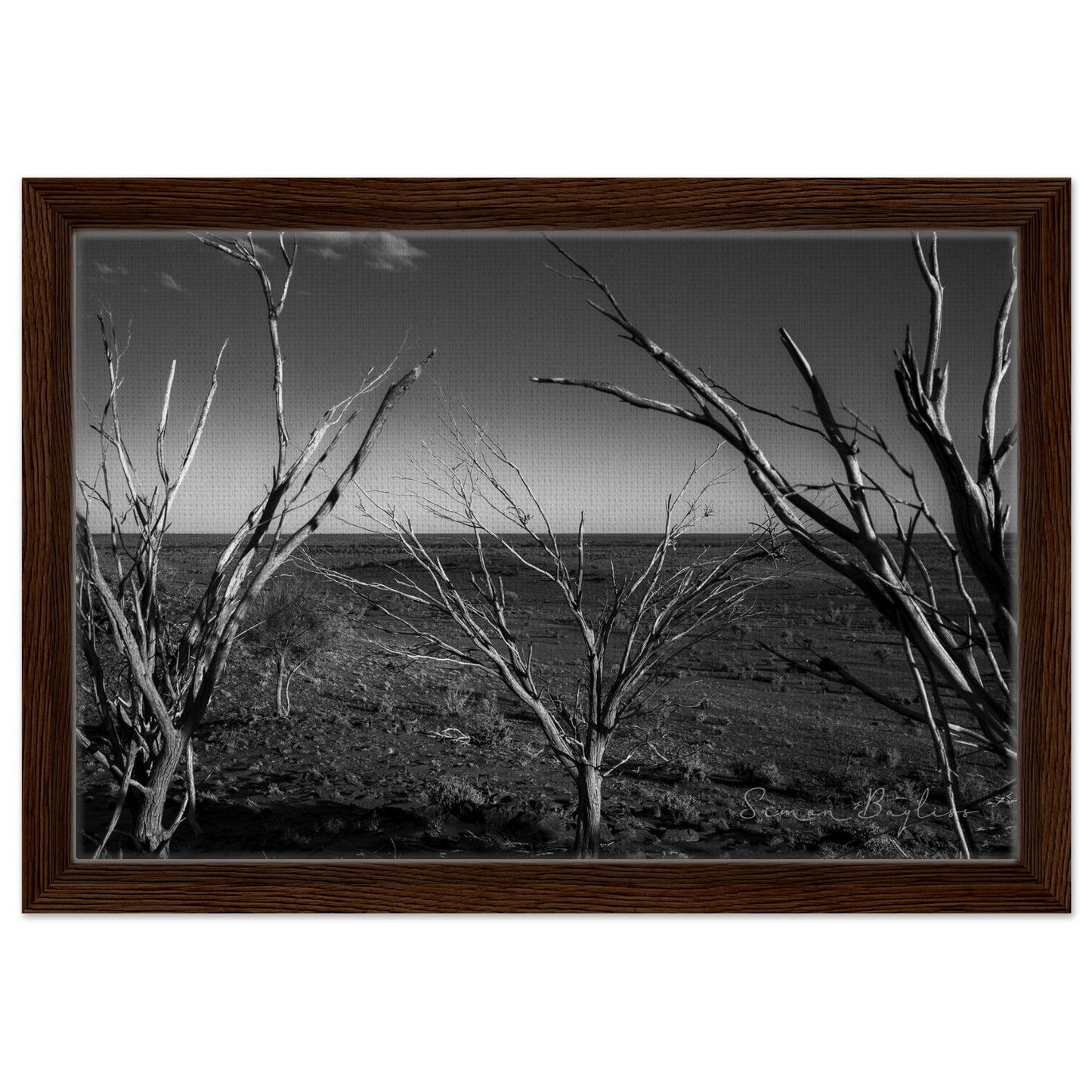 09c7ce83-ad2e-4992-b625-6641452ac909