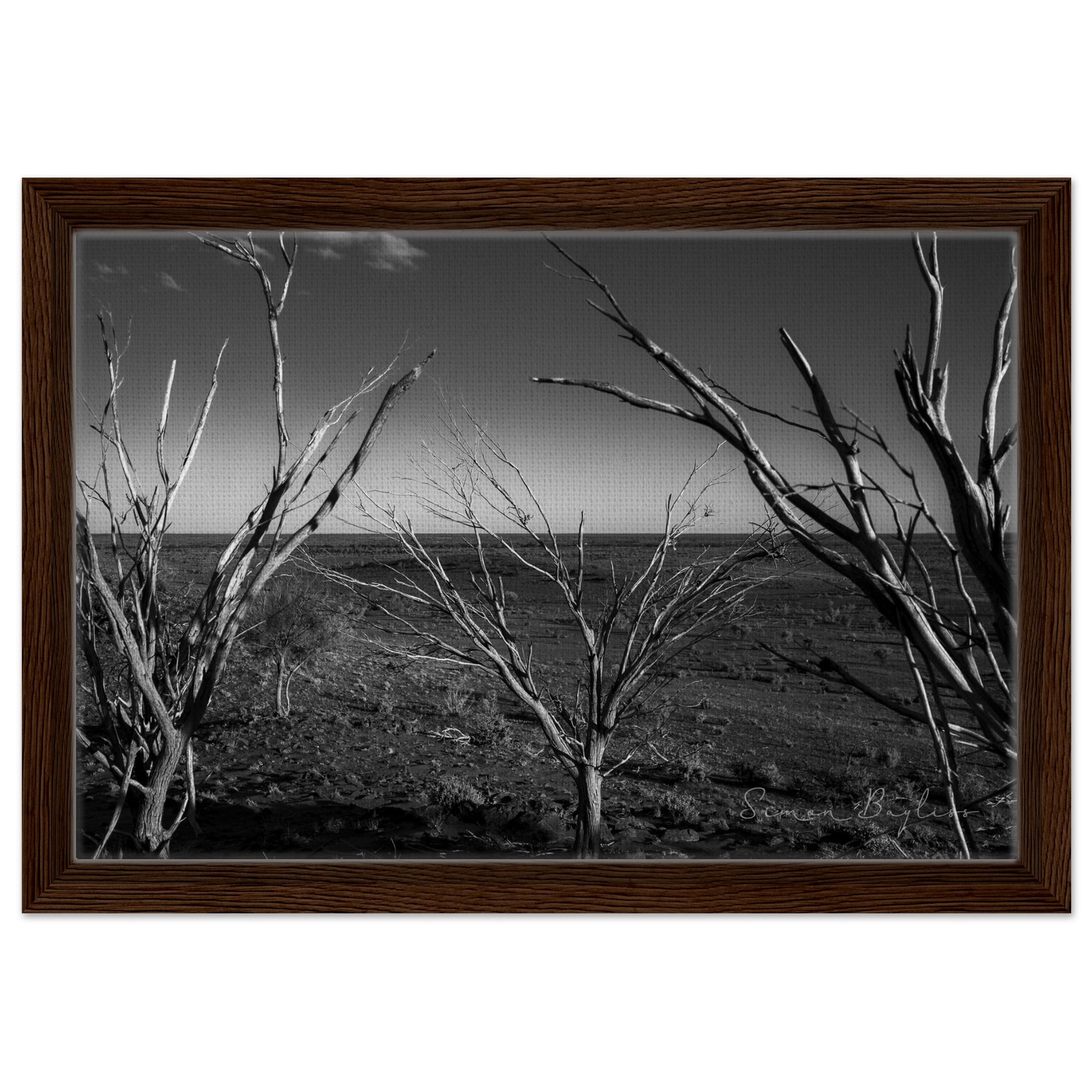 09c7ce83-ad2e-4992-b625-6641452ac909