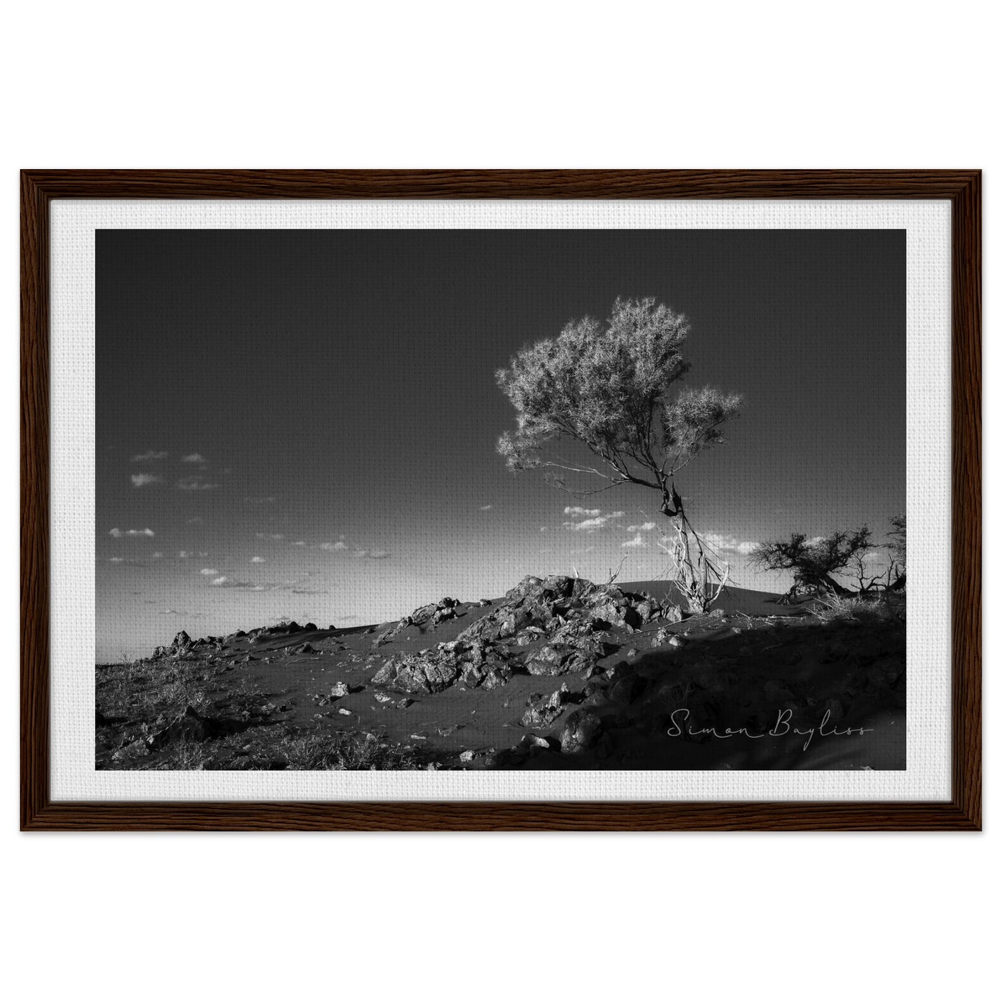 0a0fe36e-88ba-43e9-8737-2c3e3dcb500a