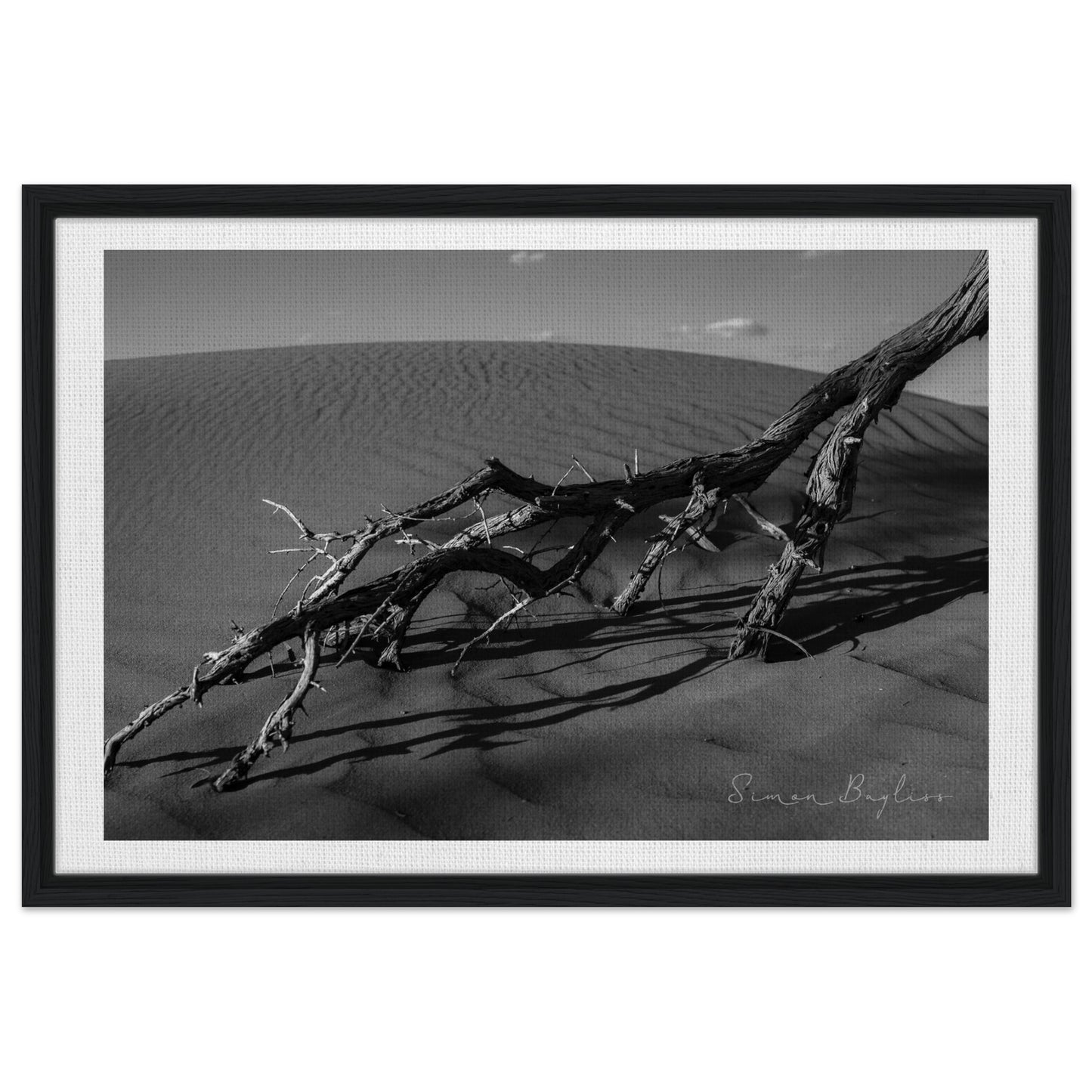 0b3dce1b-21cc-4b97-b609-a1b1cc12101a