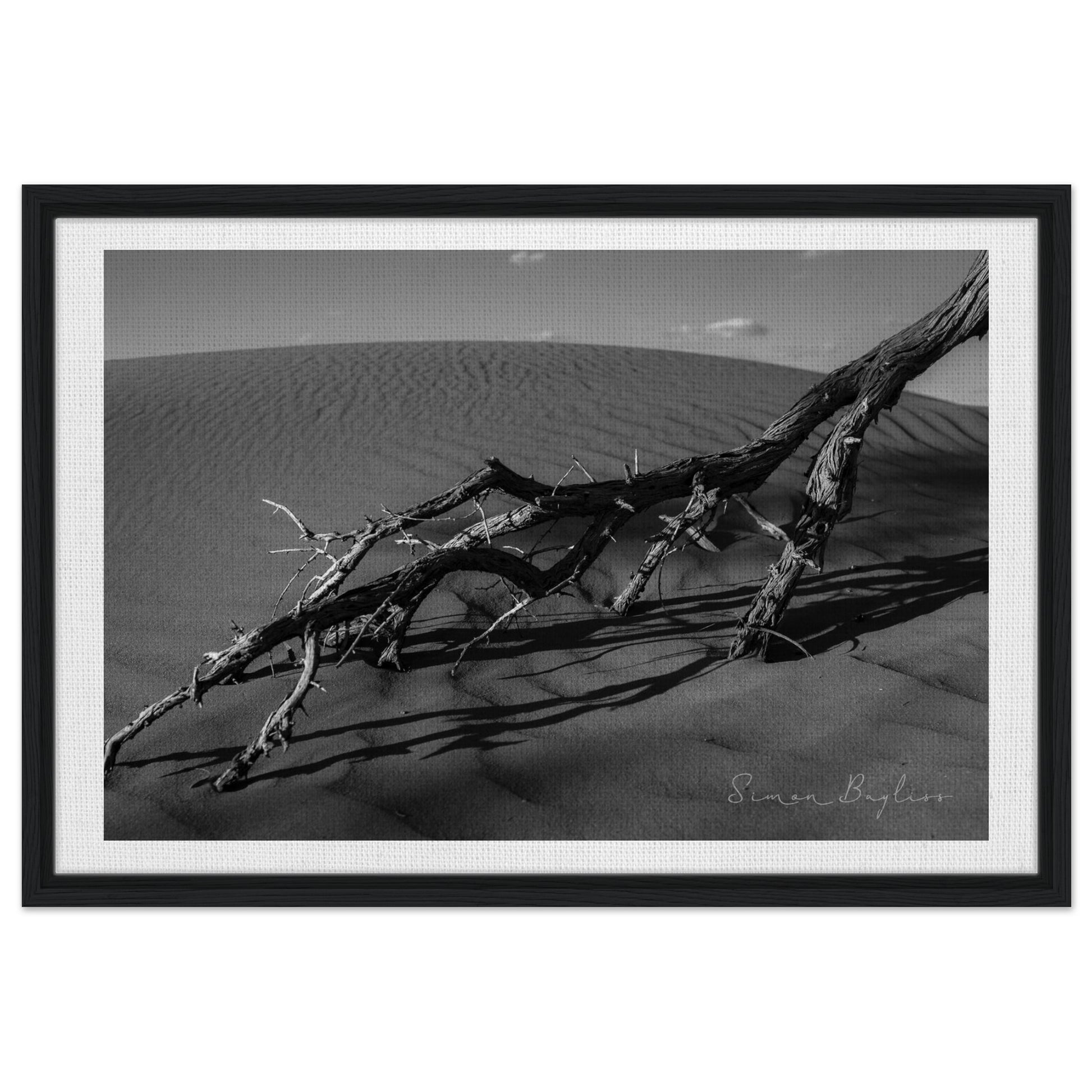 0b3dce1b-21cc-4b97-b609-a1b1cc12101a