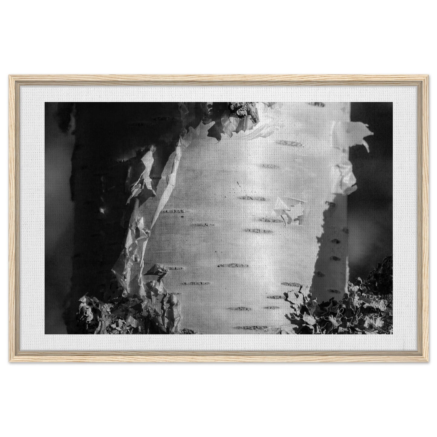 0b630035-ce43-4bb3-afb3-c0997d06f994