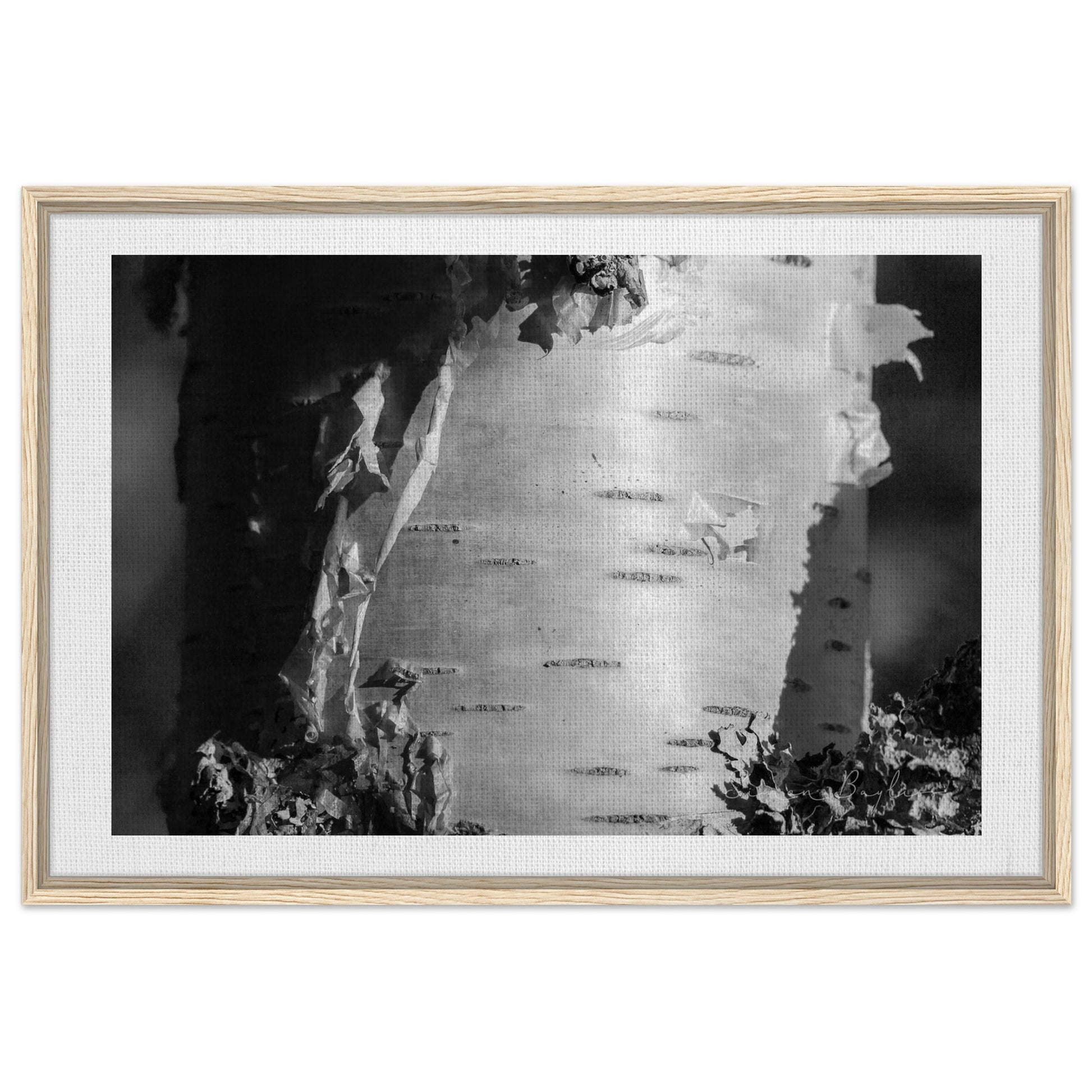 0b630035-ce43-4bb3-afb3-c0997d06f994