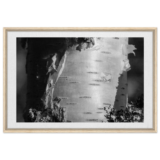 0b630035-ce43-4bb3-afb3-c0997d06f994