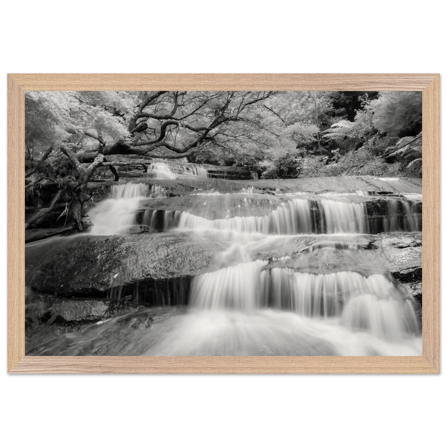 0b781eff-6af3-49eb-b923-72dbfcbe9731