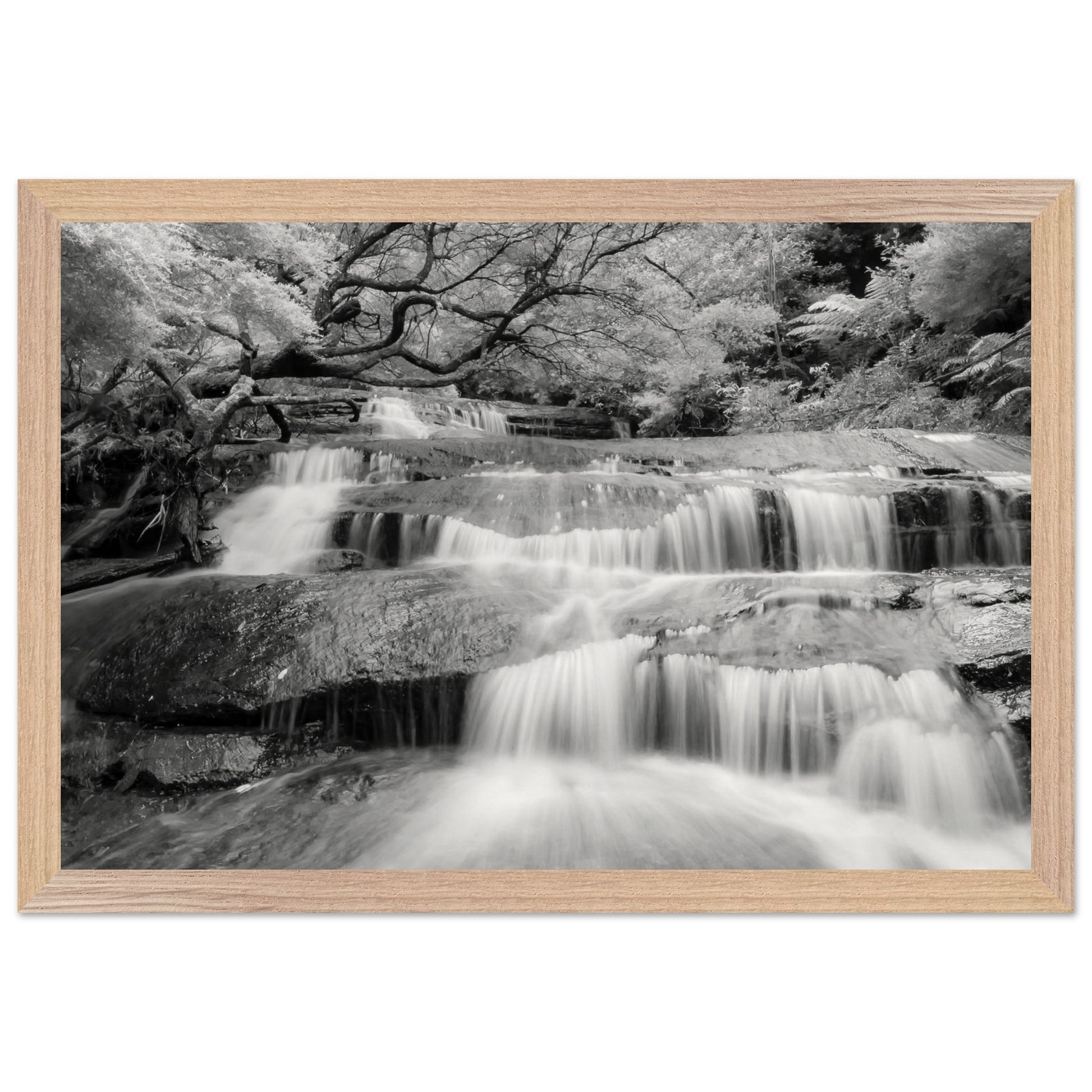 0b781eff-6af3-49eb-b923-72dbfcbe9731