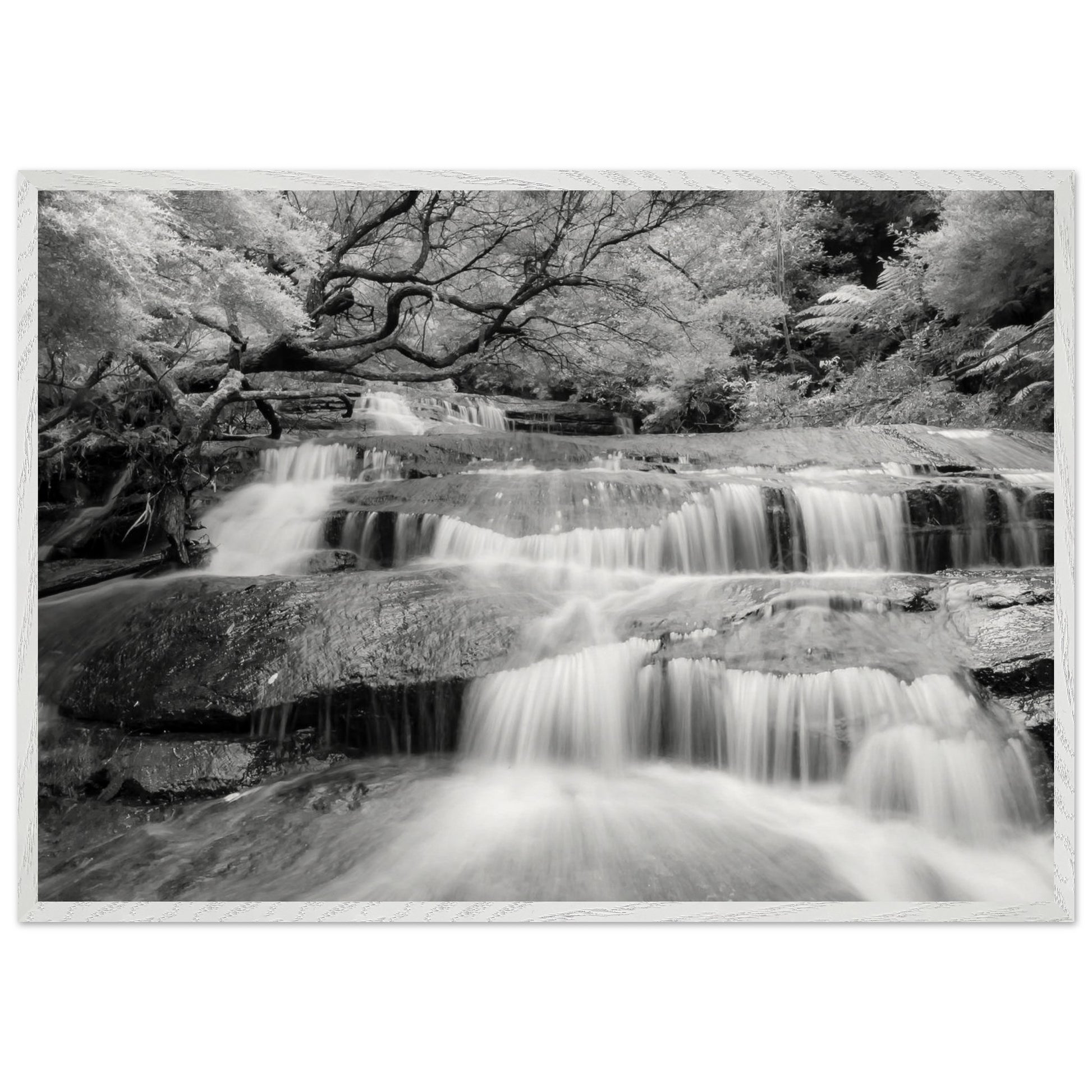 0ba8be08-accb-48df-8df2-ad7e0be95e83