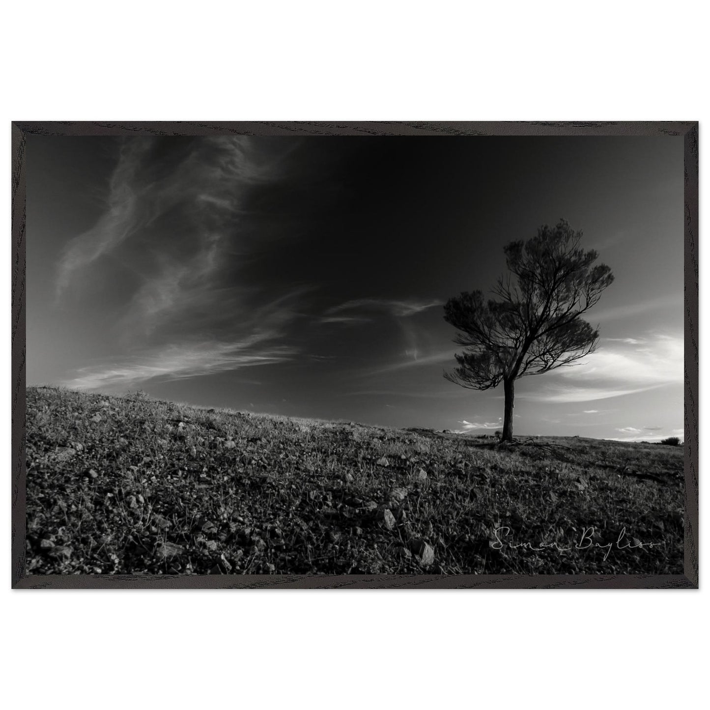 0c7b6da6-535d-46e3-9696-9ed7c600f37a