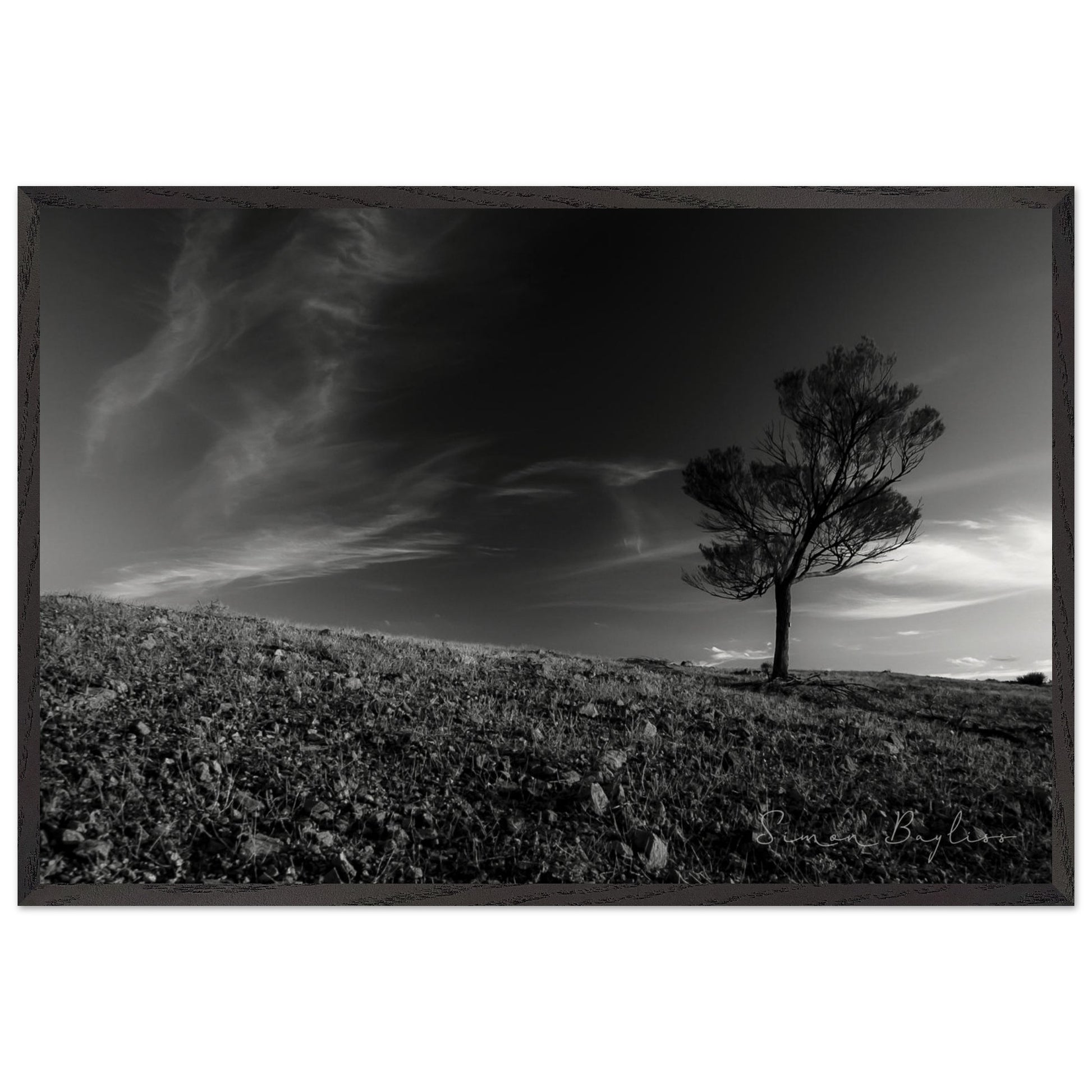 0c7b6da6-535d-46e3-9696-9ed7c600f37a