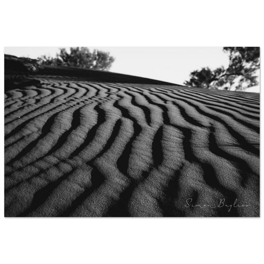 0ce9ac94-6b9f-4ee9-a4ad-9d9ae8d292d1