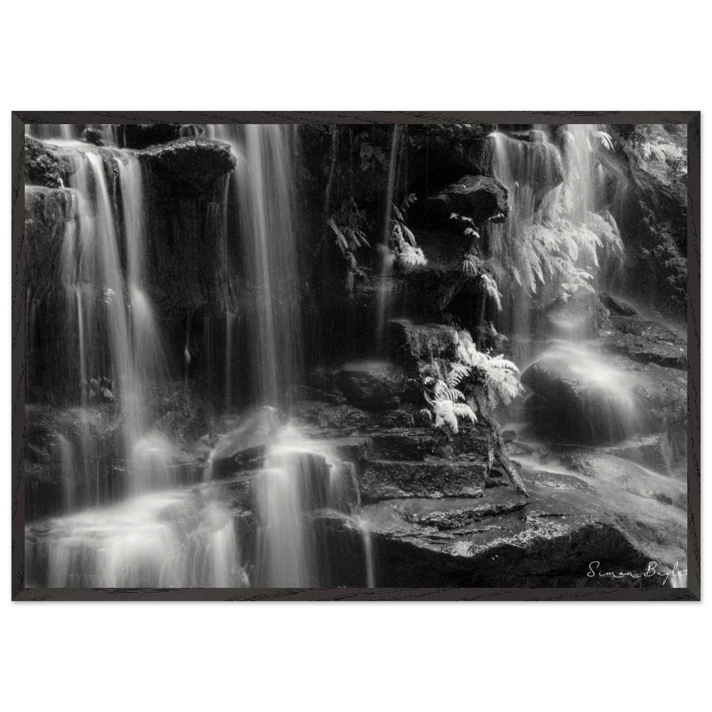 0d2b63cd-d84f-4277-9b40-e57bbbd80532