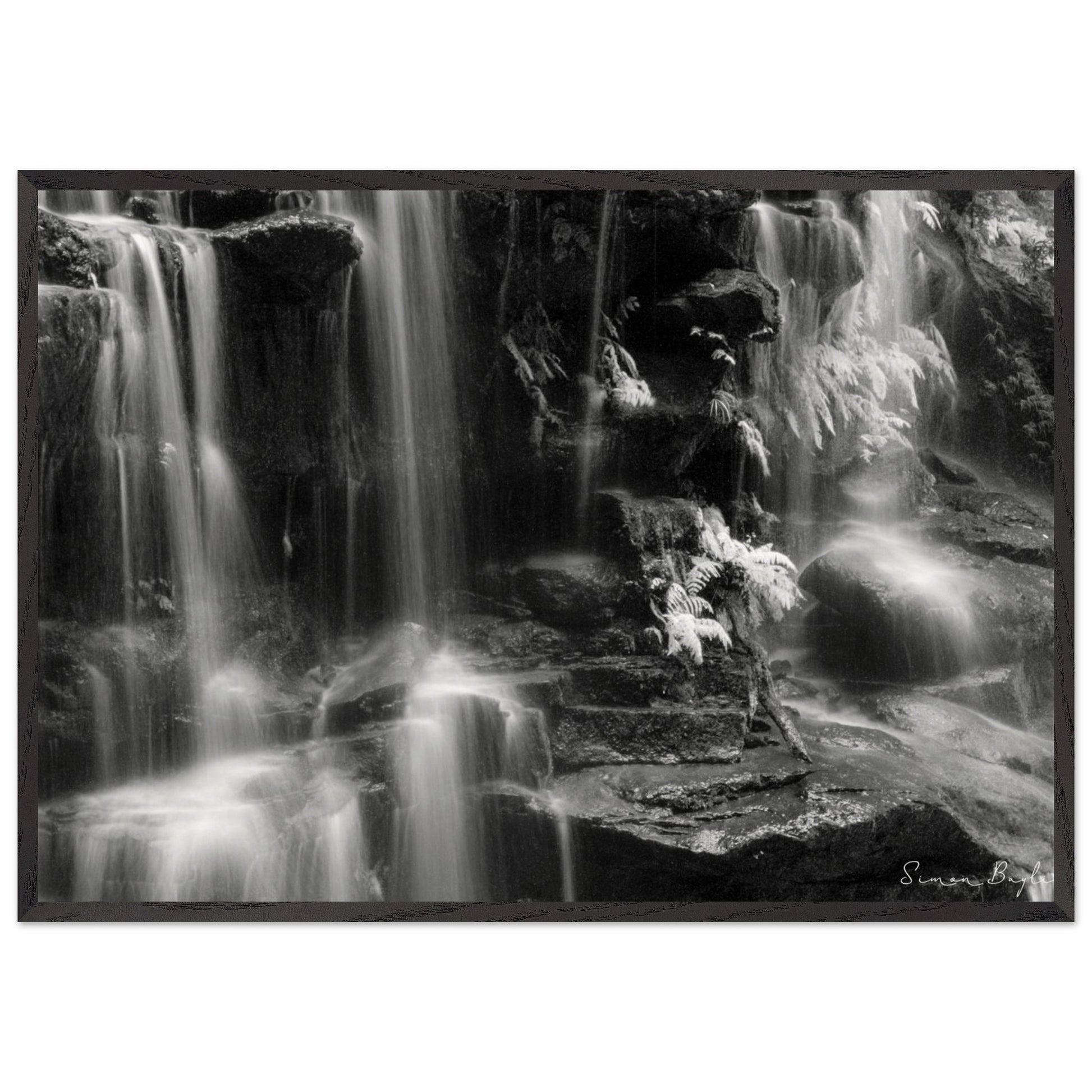 0d2b63cd-d84f-4277-9b40-e57bbbd80532