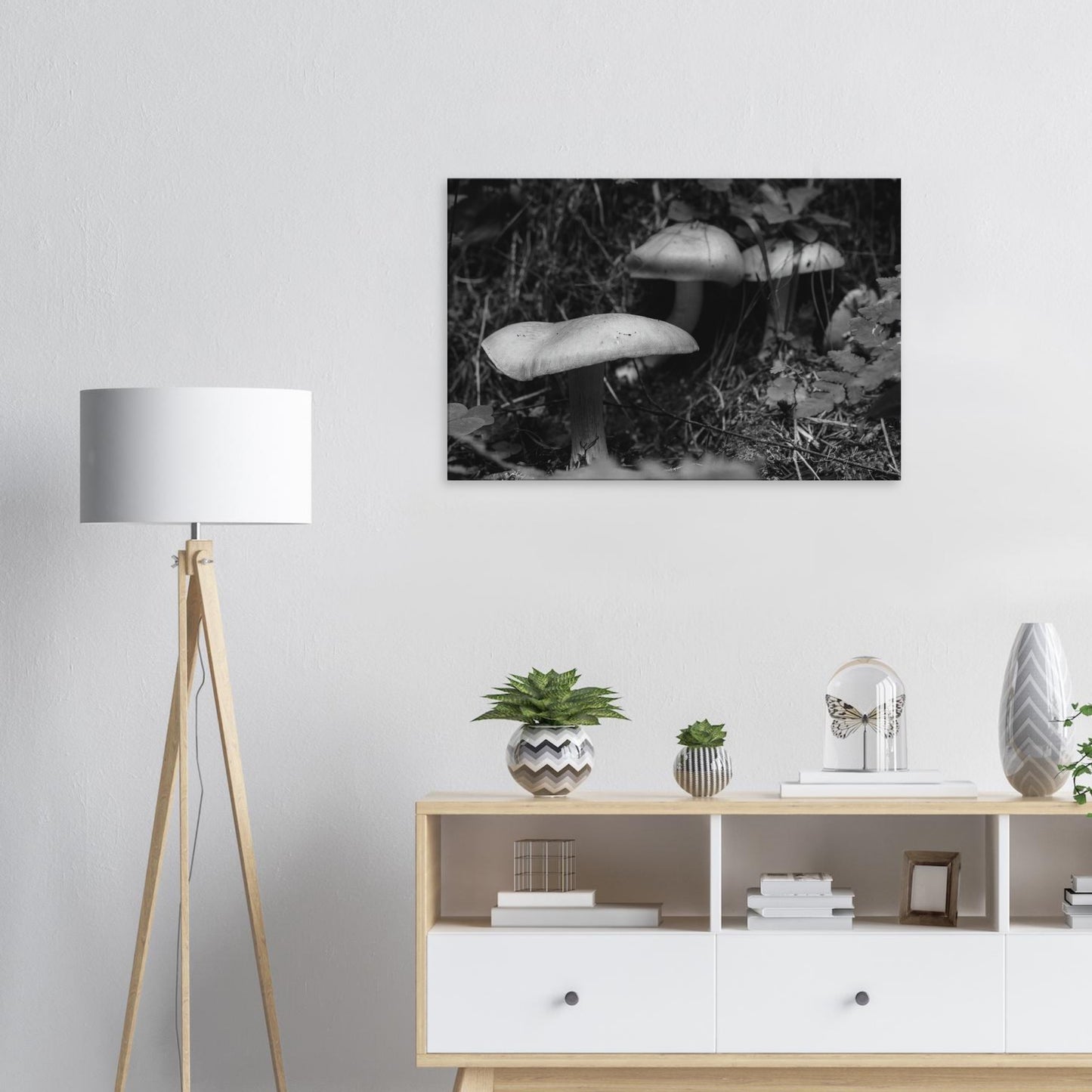 0dfa2054-85f5-43f0-9e0d-33abbc4b1e7f