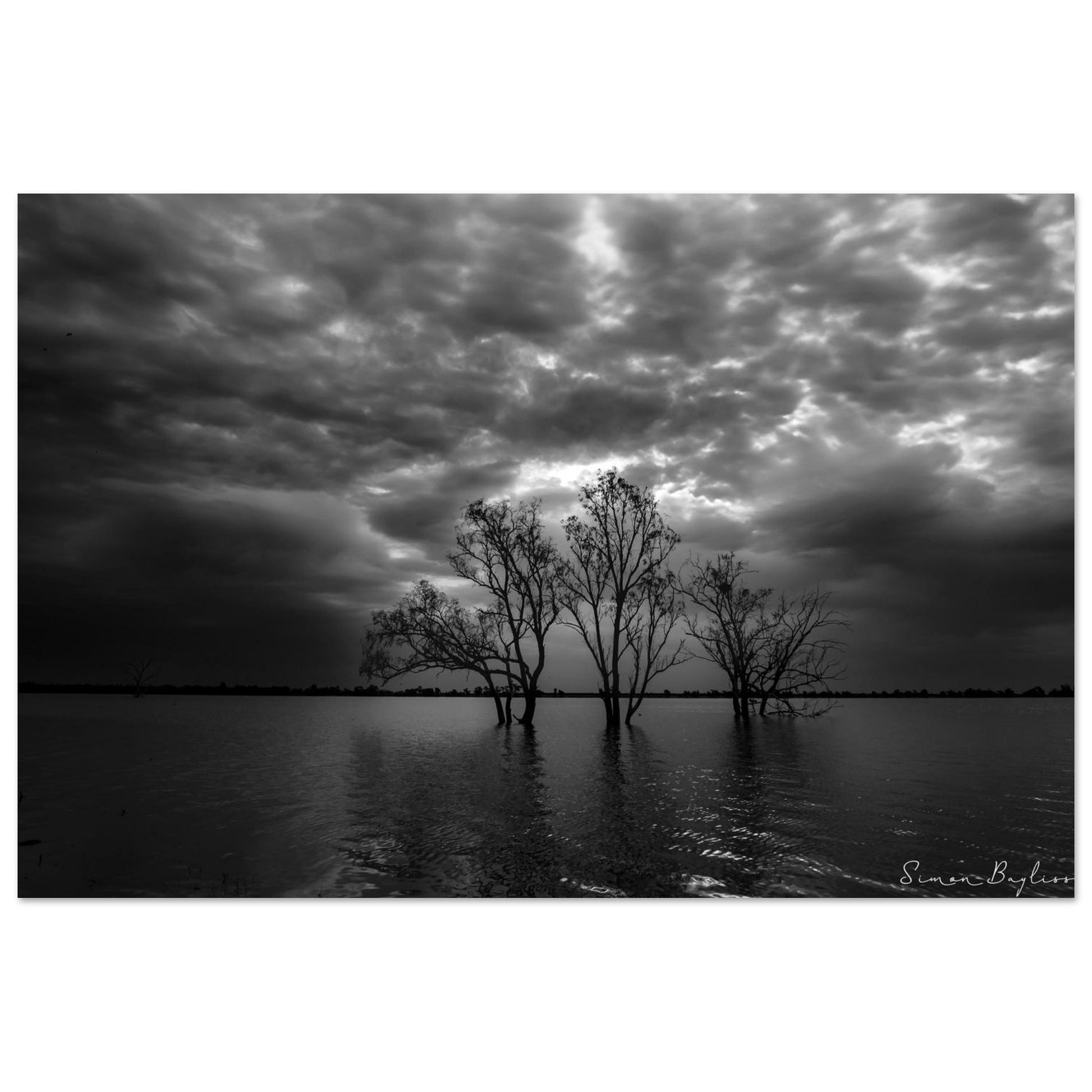 0edd8a2c-29fc-4490-9a0a-e3dbdcc7cce7