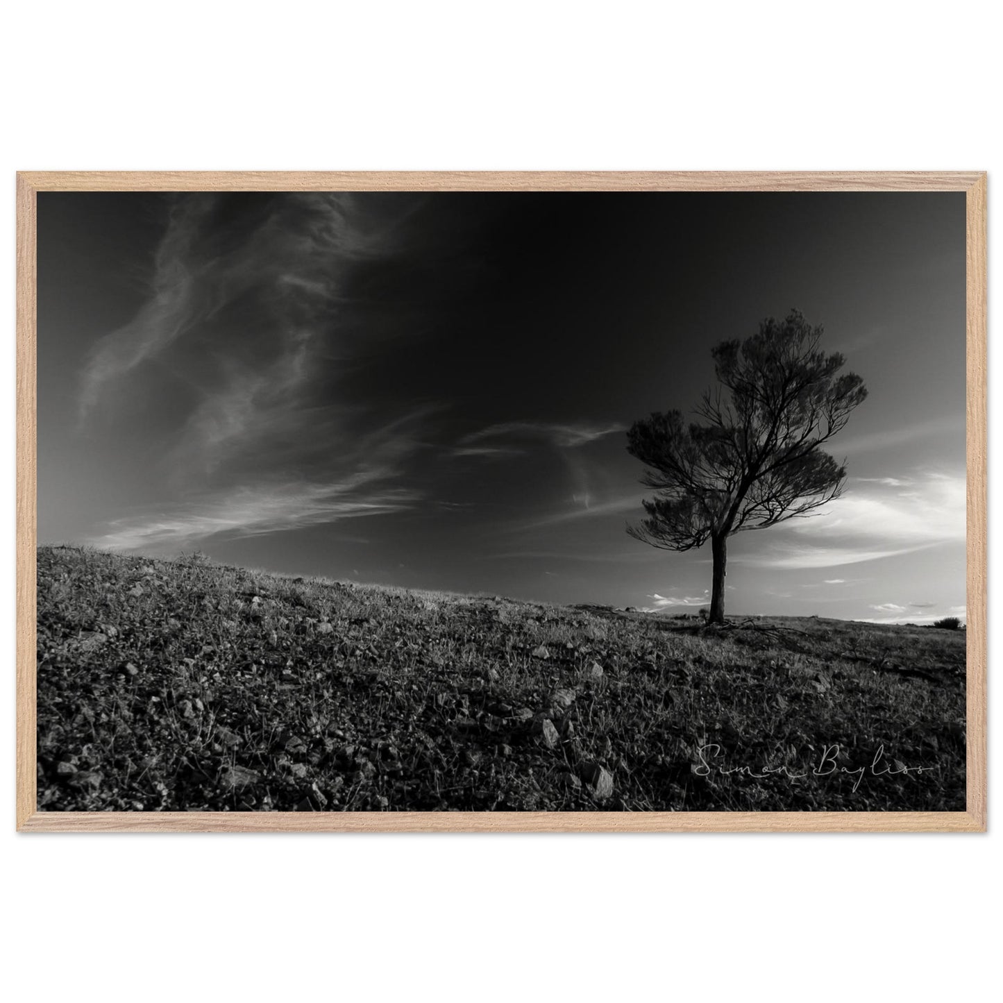 0f17b878-50d4-490e-9c63-2c1bdbeffca9