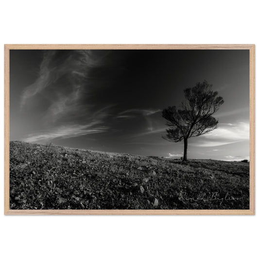 0f17b878-50d4-490e-9c63-2c1bdbeffca9