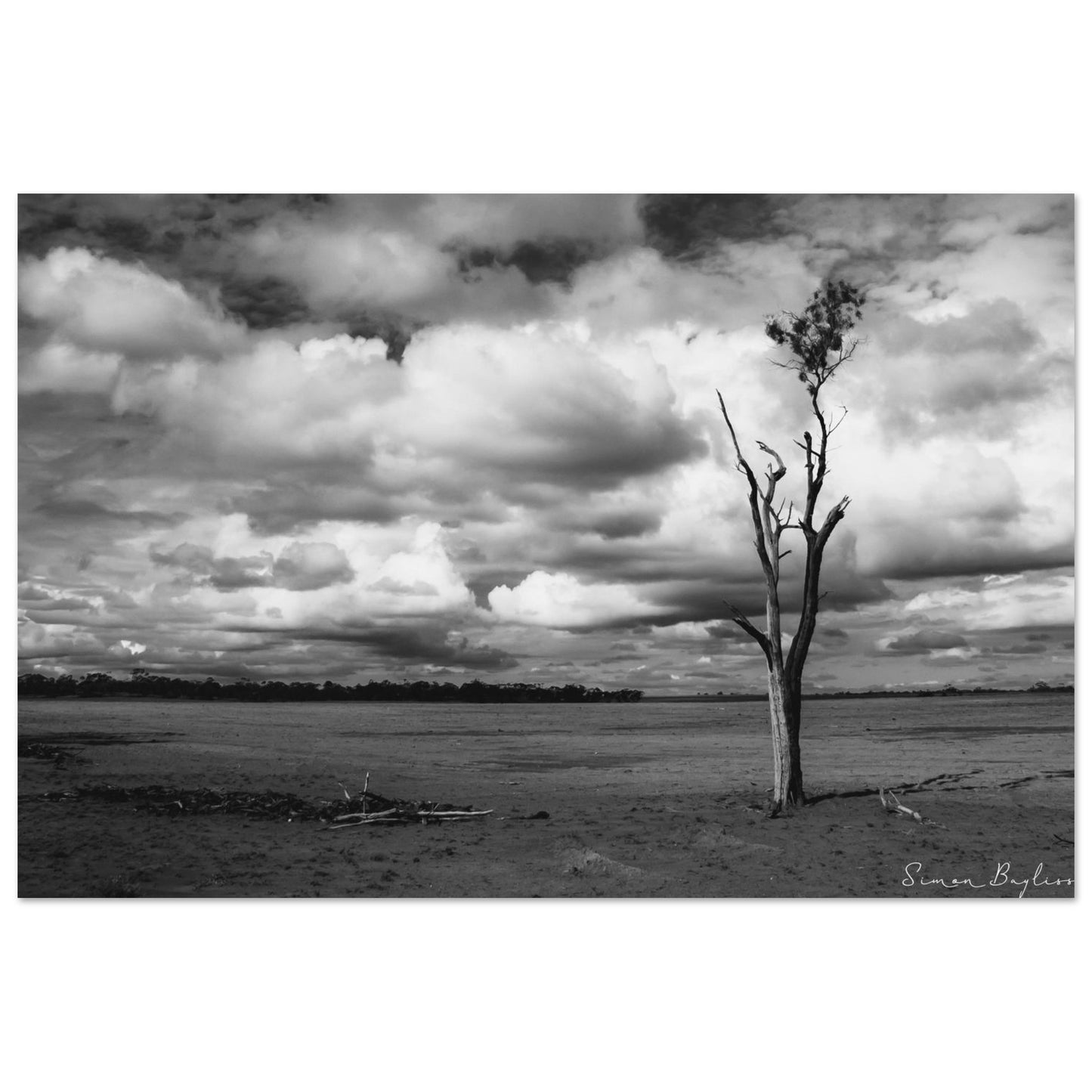 0f3e7d4a-6a63-4f3b-a2fe-5b6a46fecd98