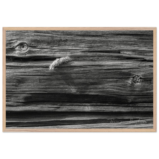 0fe7d3b5-6a32-467e-b55b-c7e17e16b670