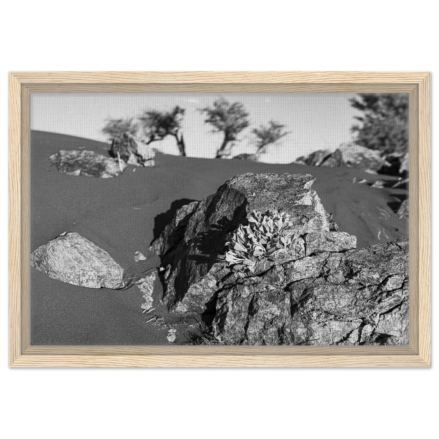 0fedf4b5-1ced-4306-84be-0eb0327f8d65