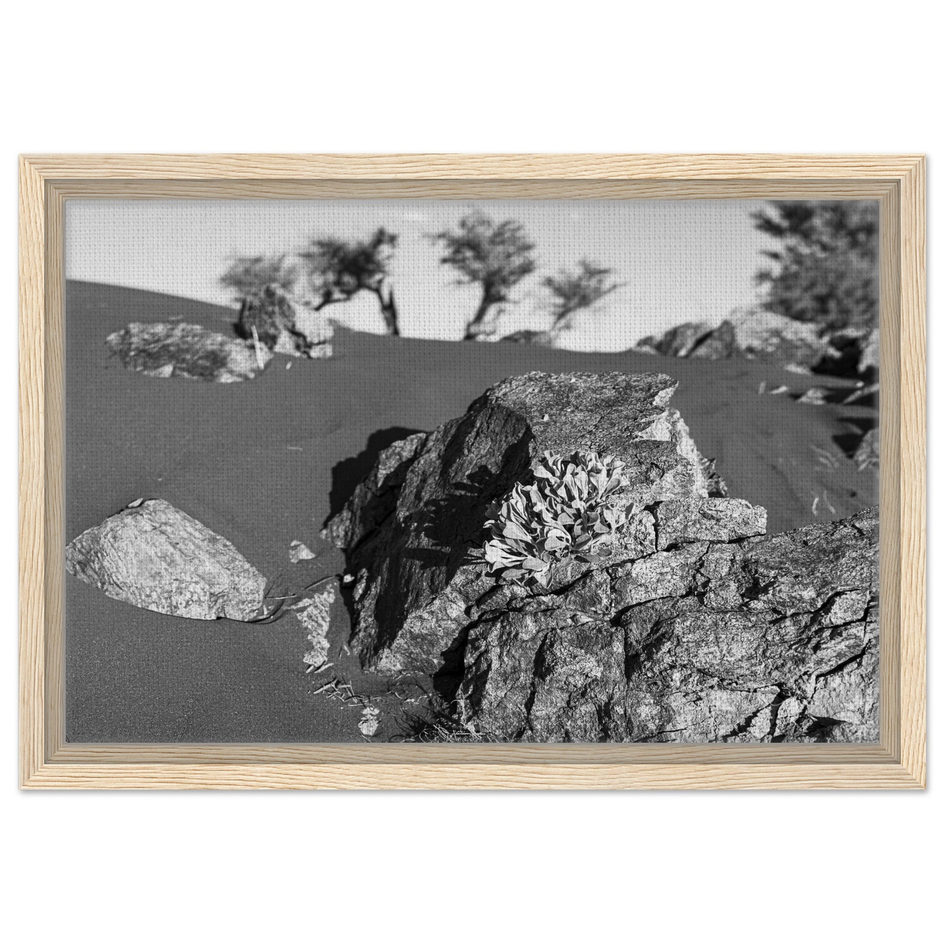 0fedf4b5-1ced-4306-84be-0eb0327f8d65