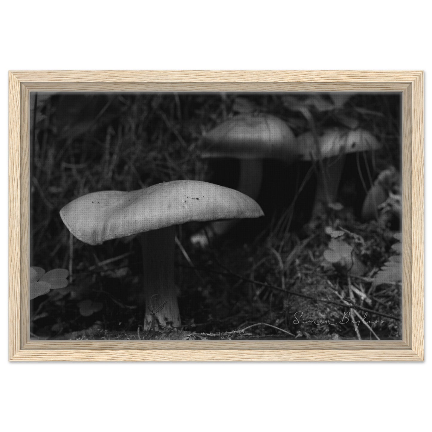 1087dae4-7b10-41c9-8e3e-a6797b800600